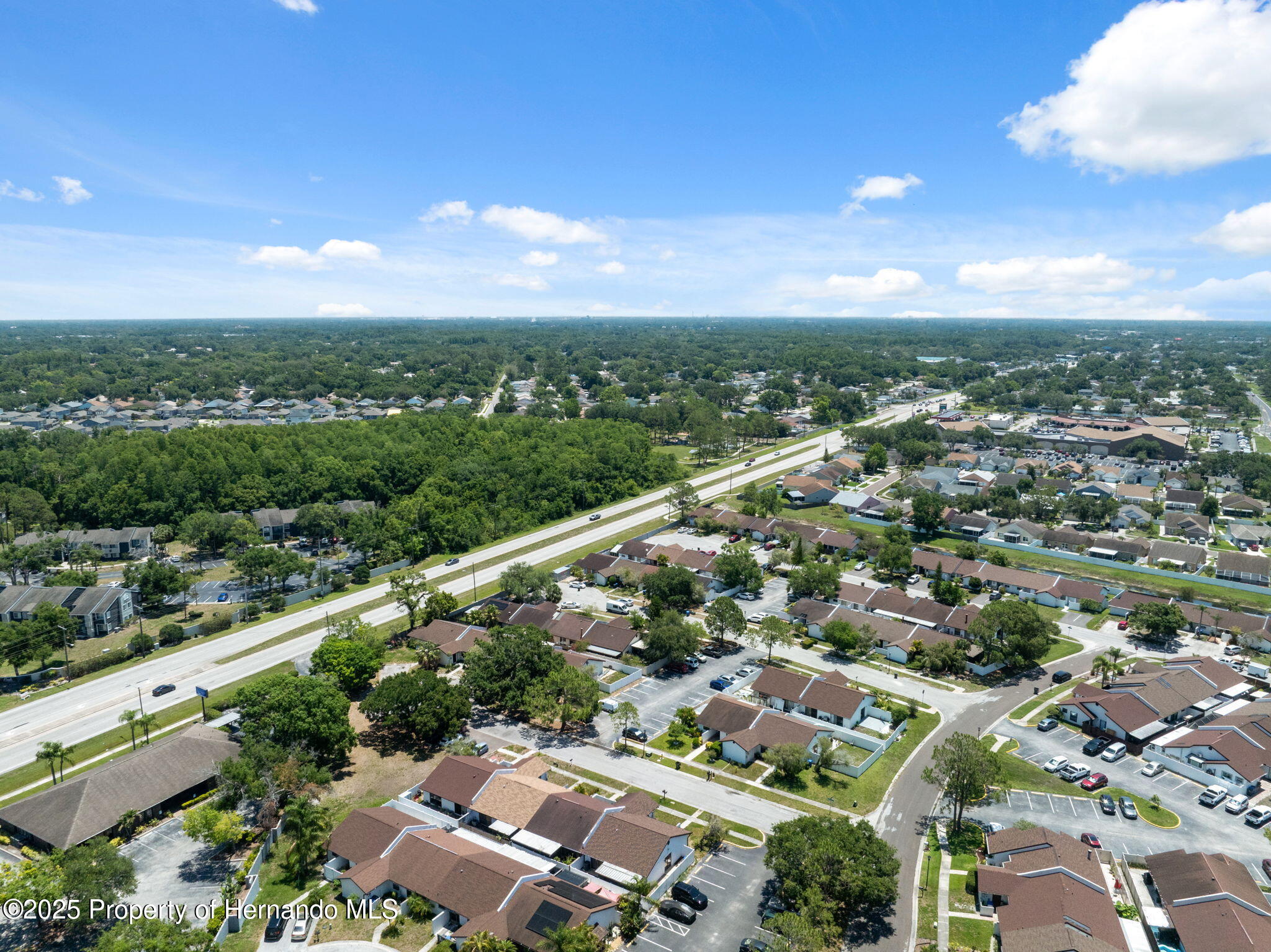 11402 Shallowbrook Place, Tampa, Florida image 34