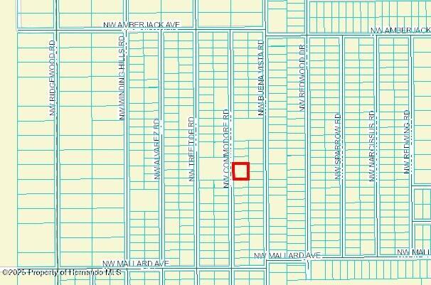 476064 Nw Commodore Road, Dunnellon, Florida image 2