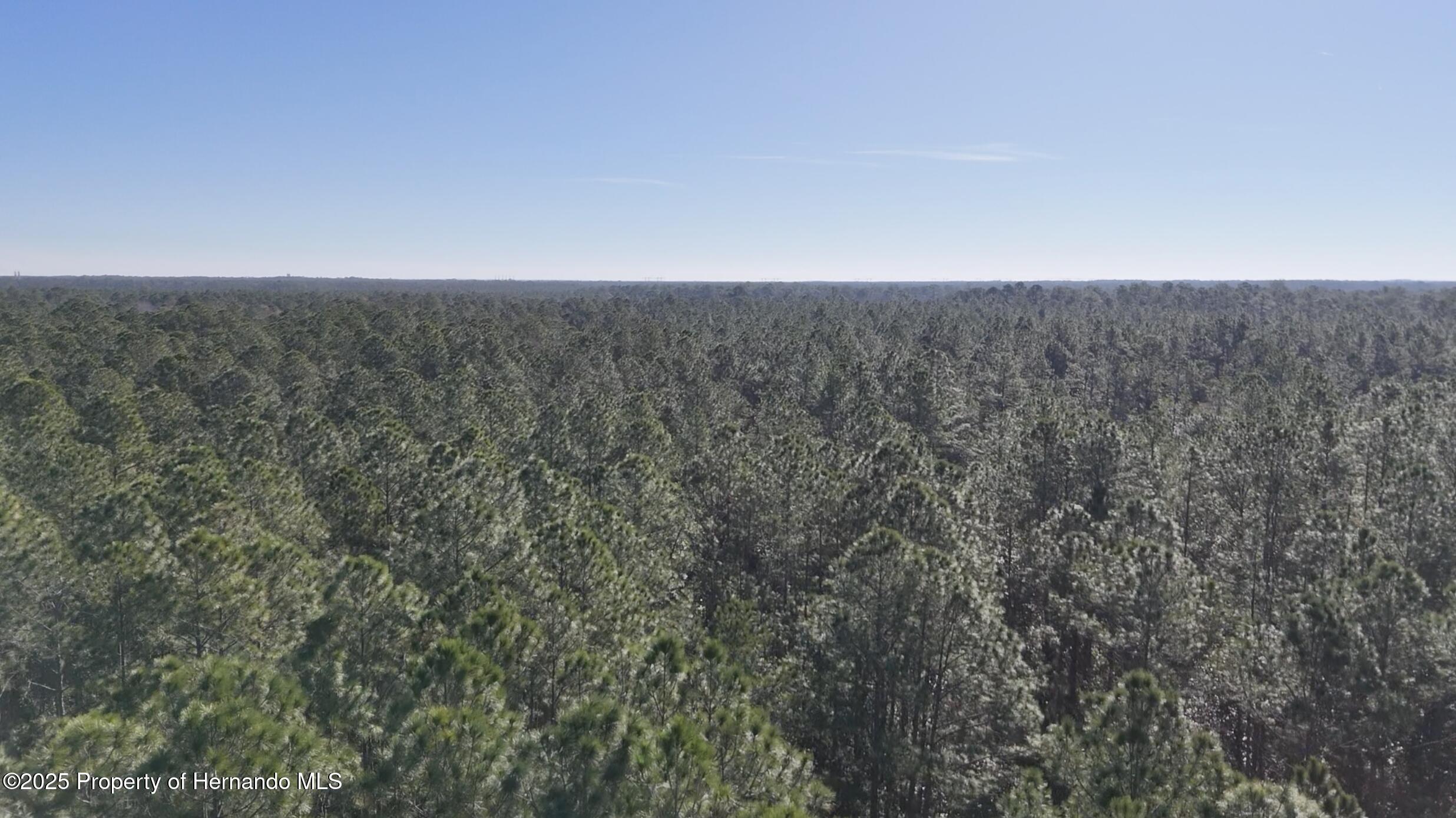 Old Train Road, Deltona, Florida image 6