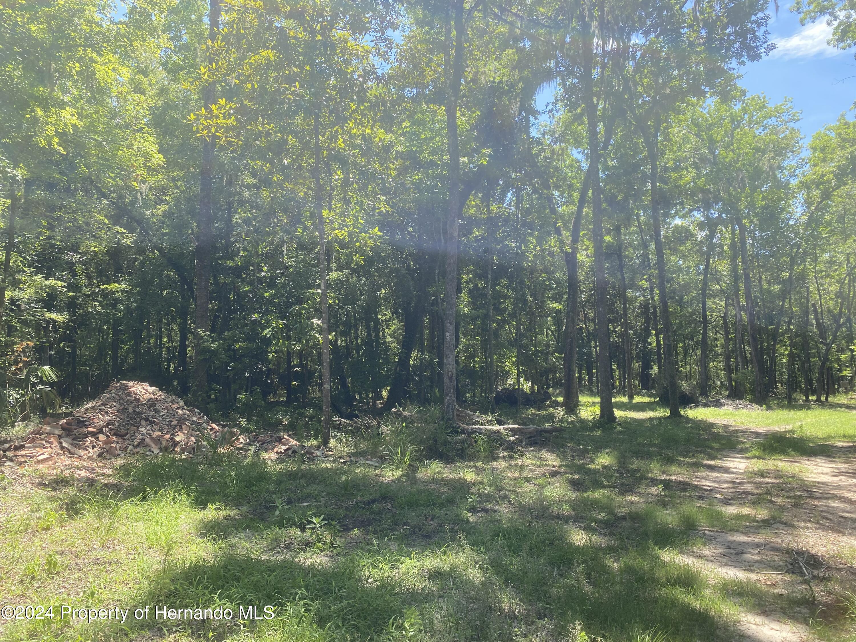 Snow Memorial Highway, Brooksville, Florida image 10