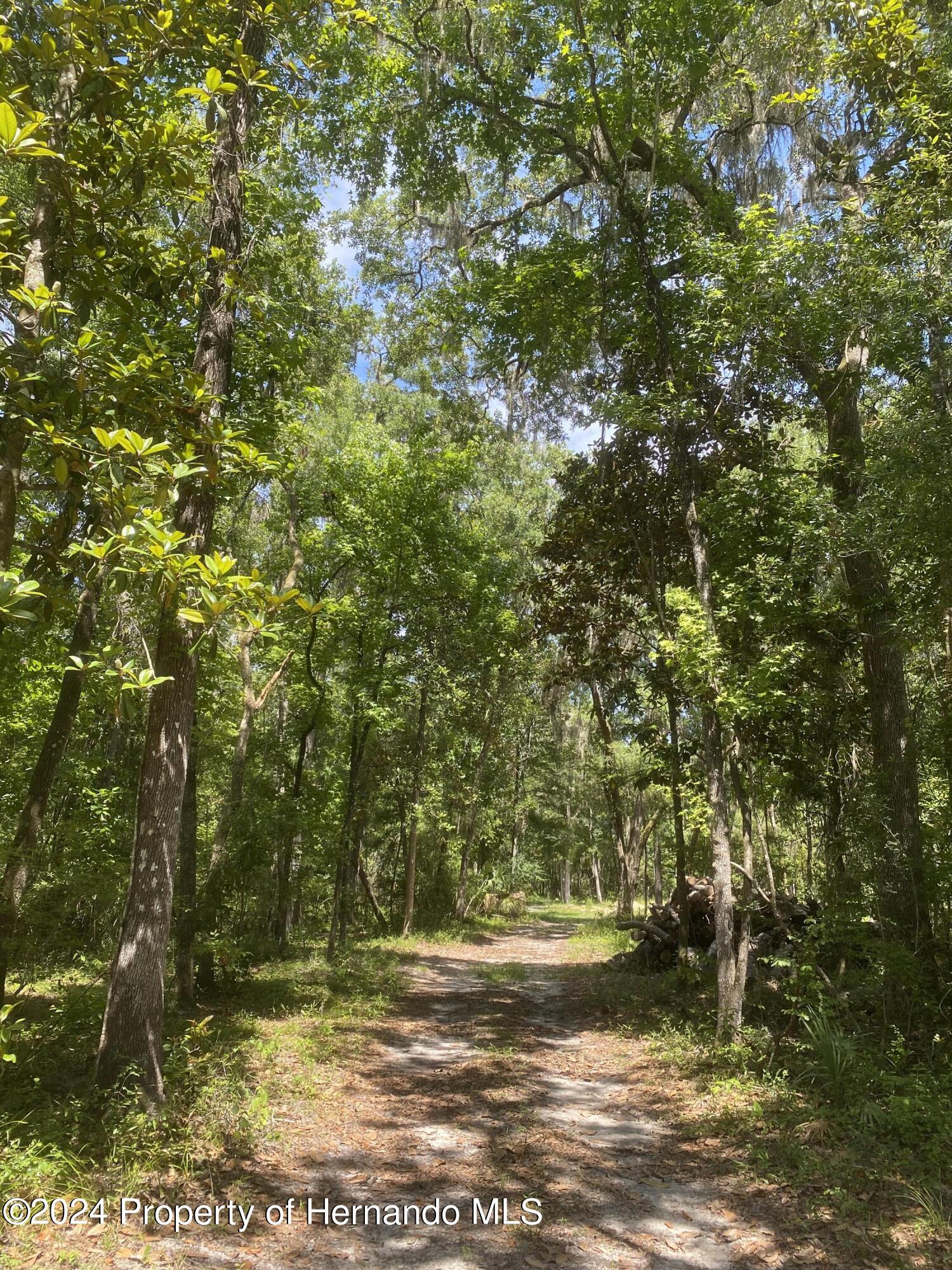 Snow Memorial Highway, Brooksville, Florida image 6