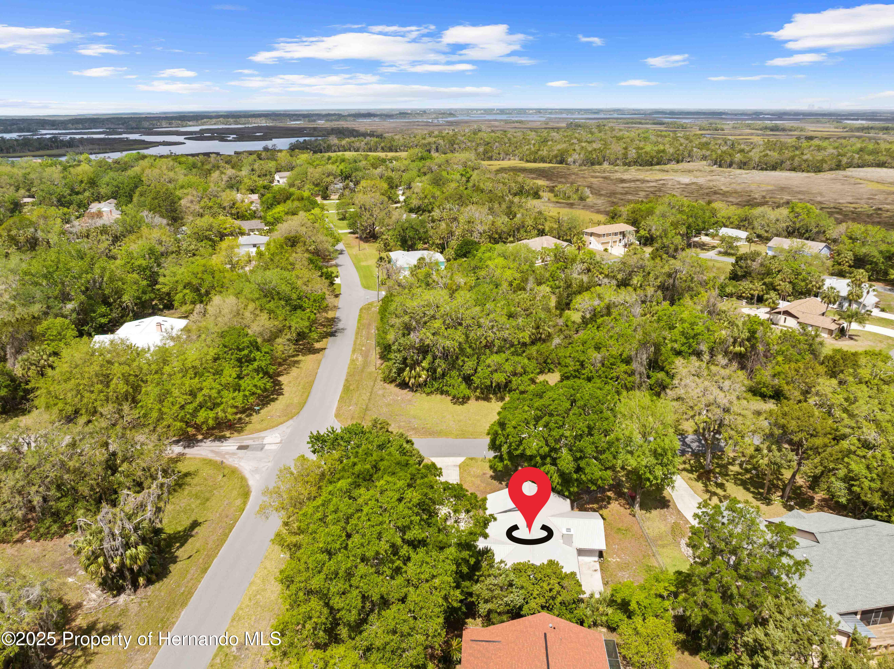 11599 W Timberlane Drive, Homosassa, Florida image 2