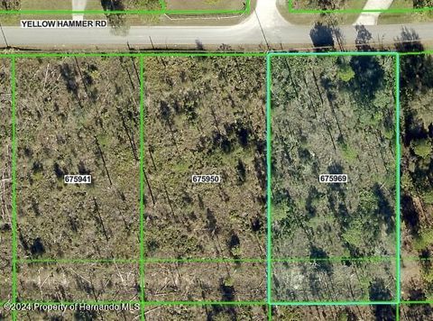 Vacant Land For Sale - Yellow Hammer Road<br/> Weeki Wachee, FL 34614