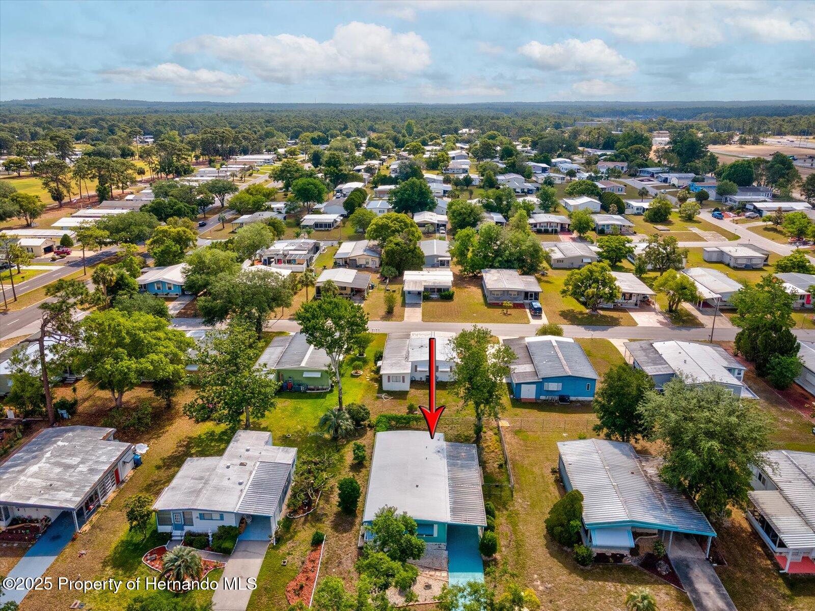 7342 Brookridge Cental Boulevard, Brooksville, Florida image 45