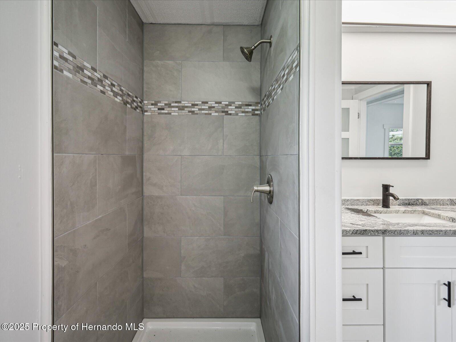 7342 Brookridge Cental Boulevard, Brooksville, Florida image 27