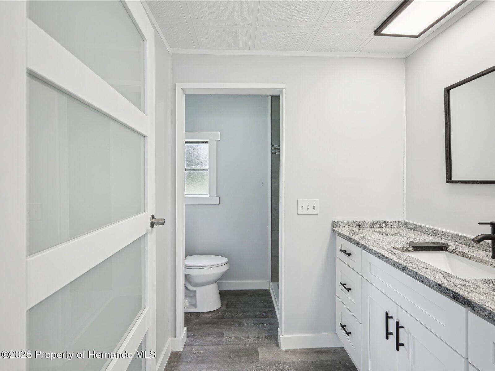 7342 Brookridge Cental Boulevard, Brooksville, Florida image 26