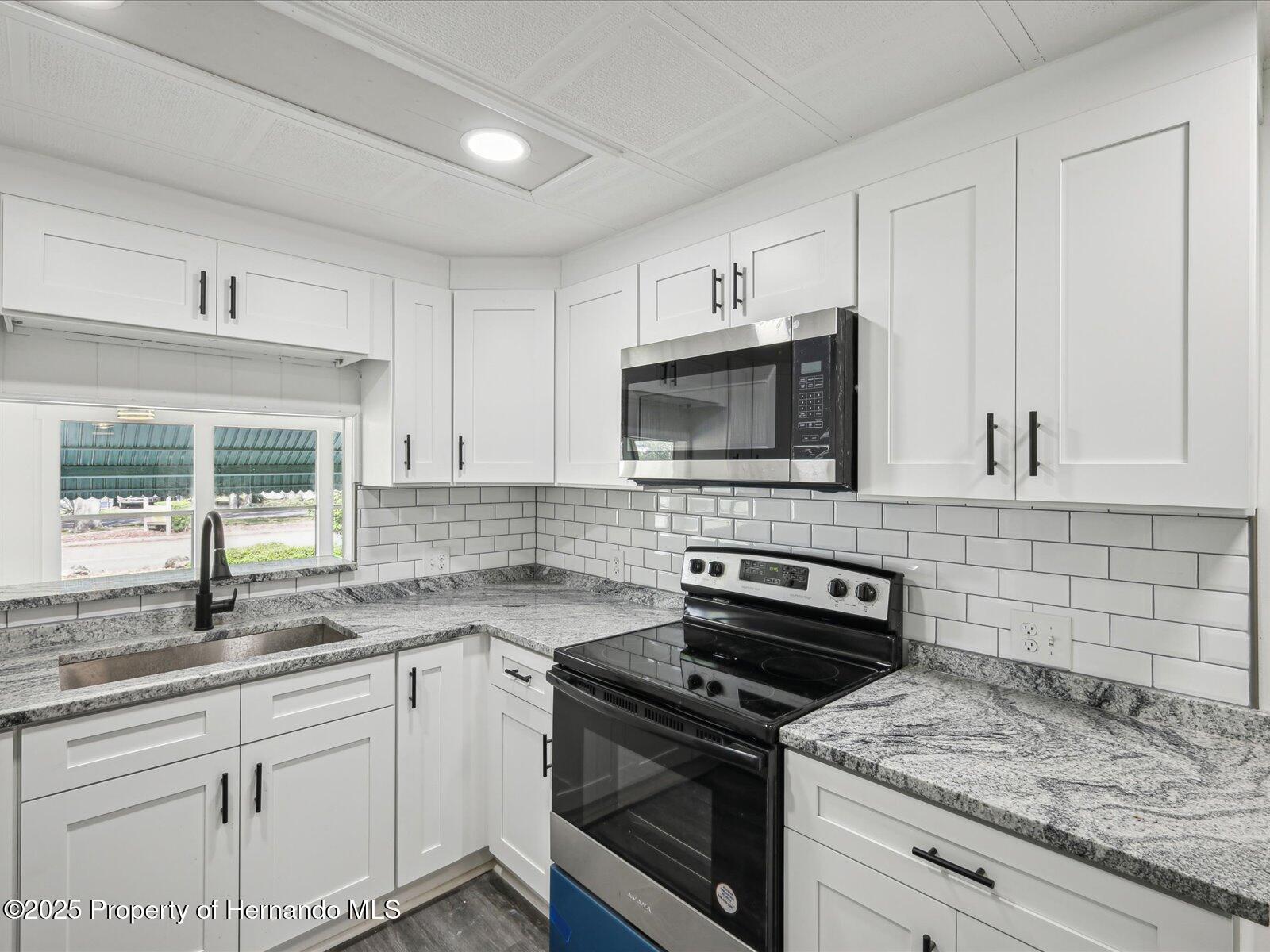 7342 Brookridge Cental Boulevard, Brooksville, Florida image 15