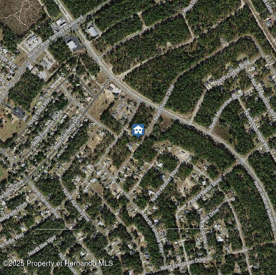 9561 N Travis Drive, Dunnellon, Florida image 3