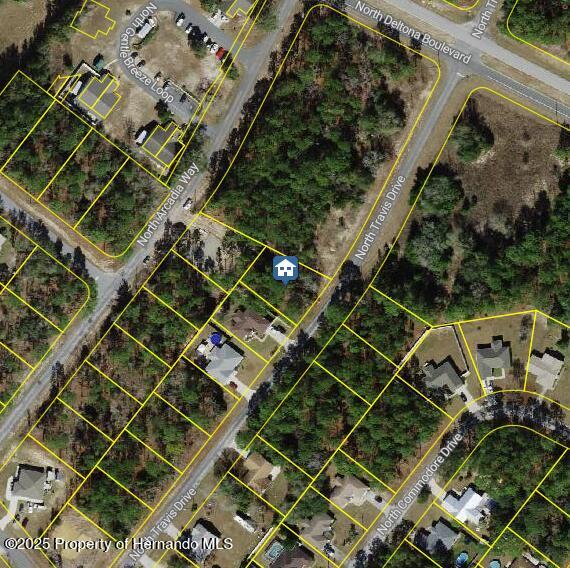 9561 N Travis Drive, Dunnellon, Florida image 1