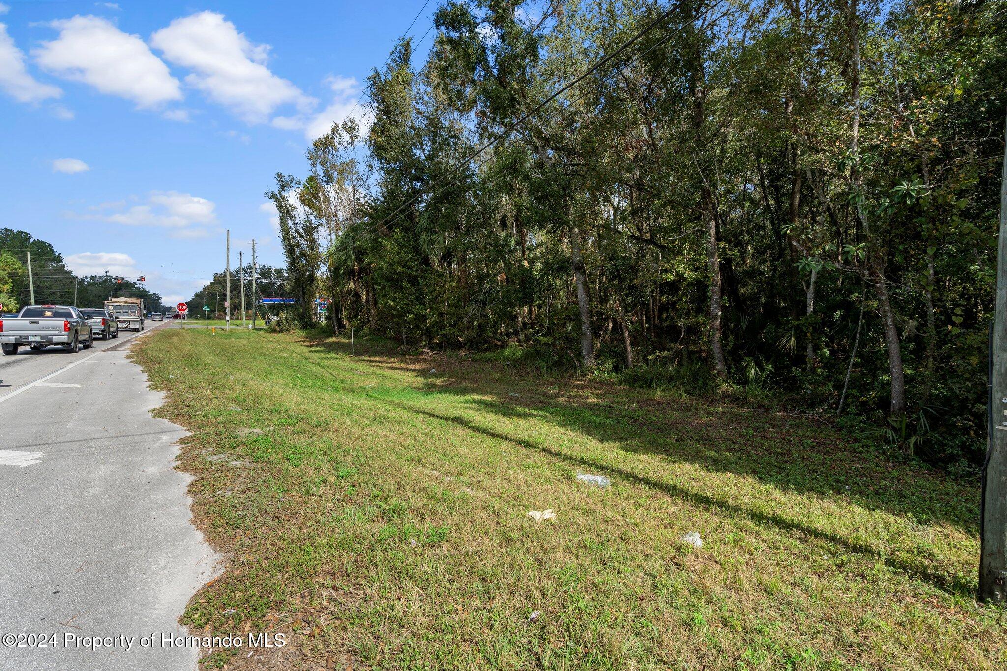 Ft. Dade Avenue, Brooksville, Florida image 16