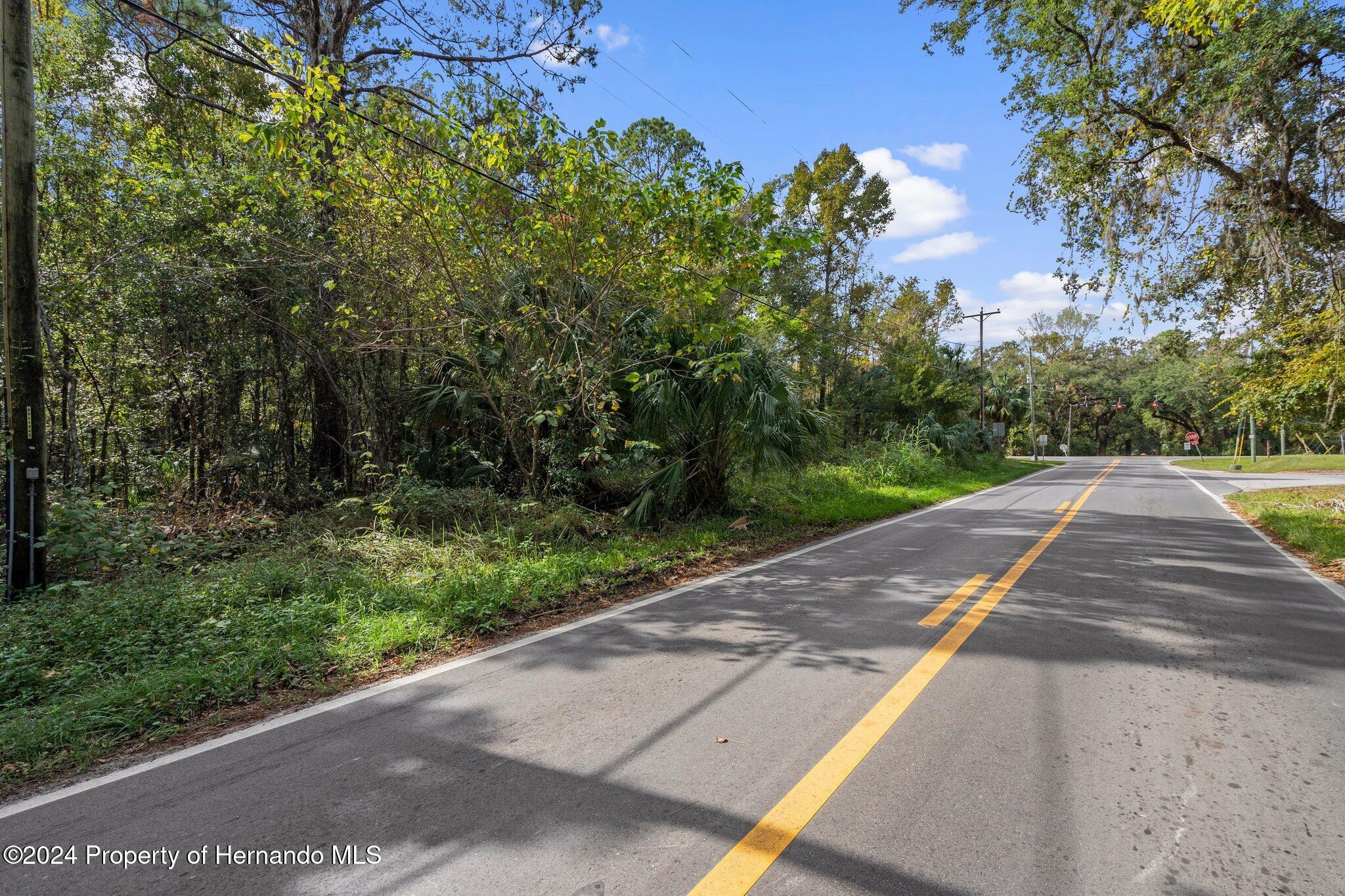 Ft. Dade Avenue, Brooksville, Florida image 14