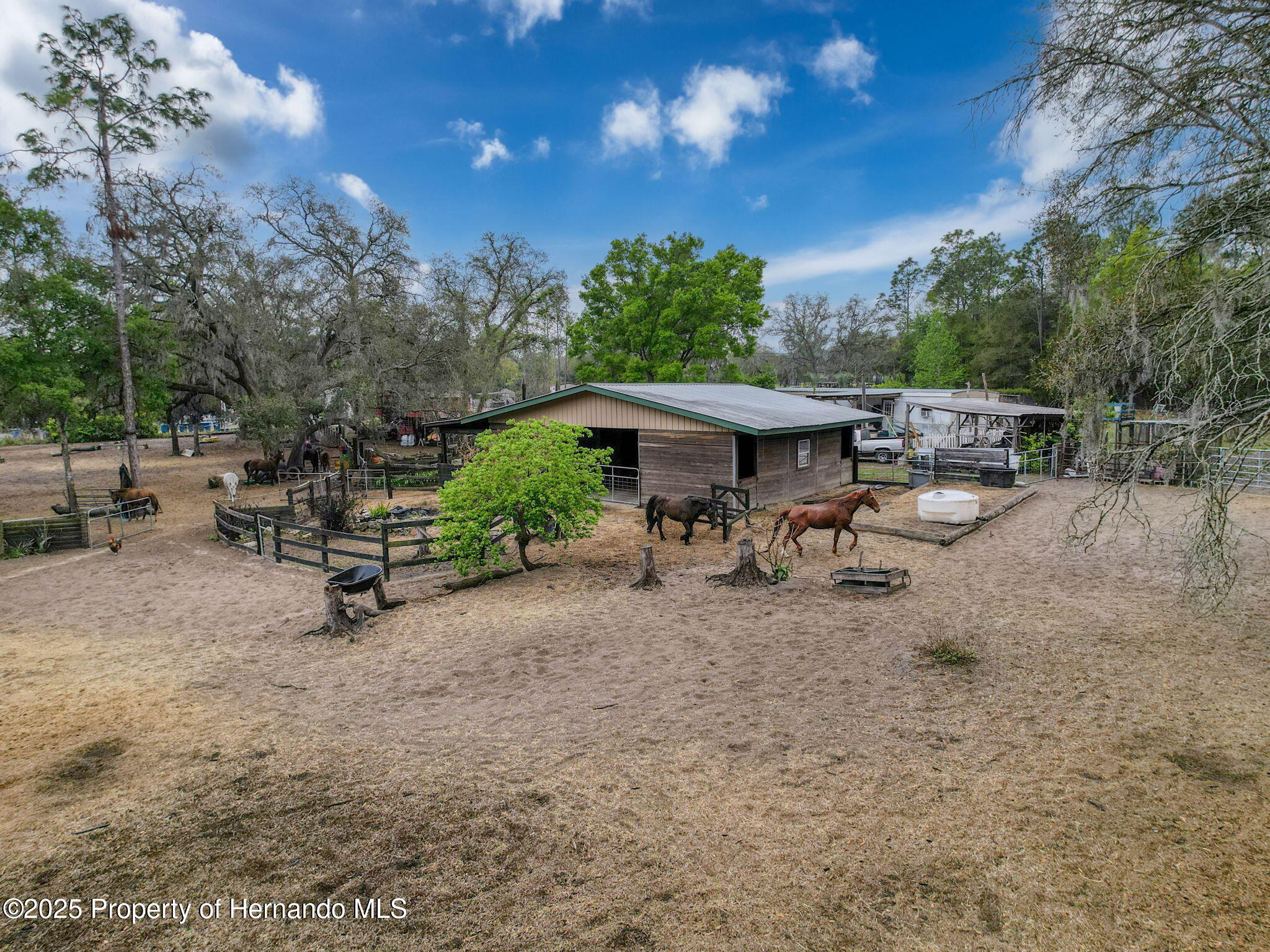 27343 Popiel Road, Brooksville, Florida image 4