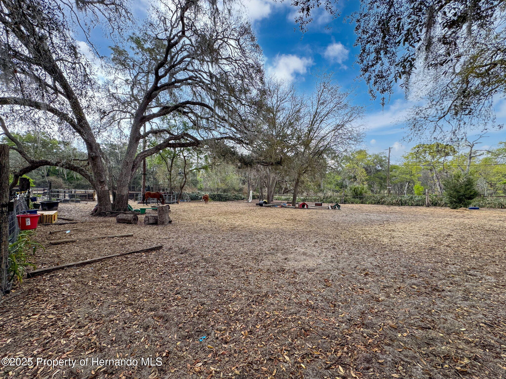 27343 Popiel Road, Brooksville, Florida image 45