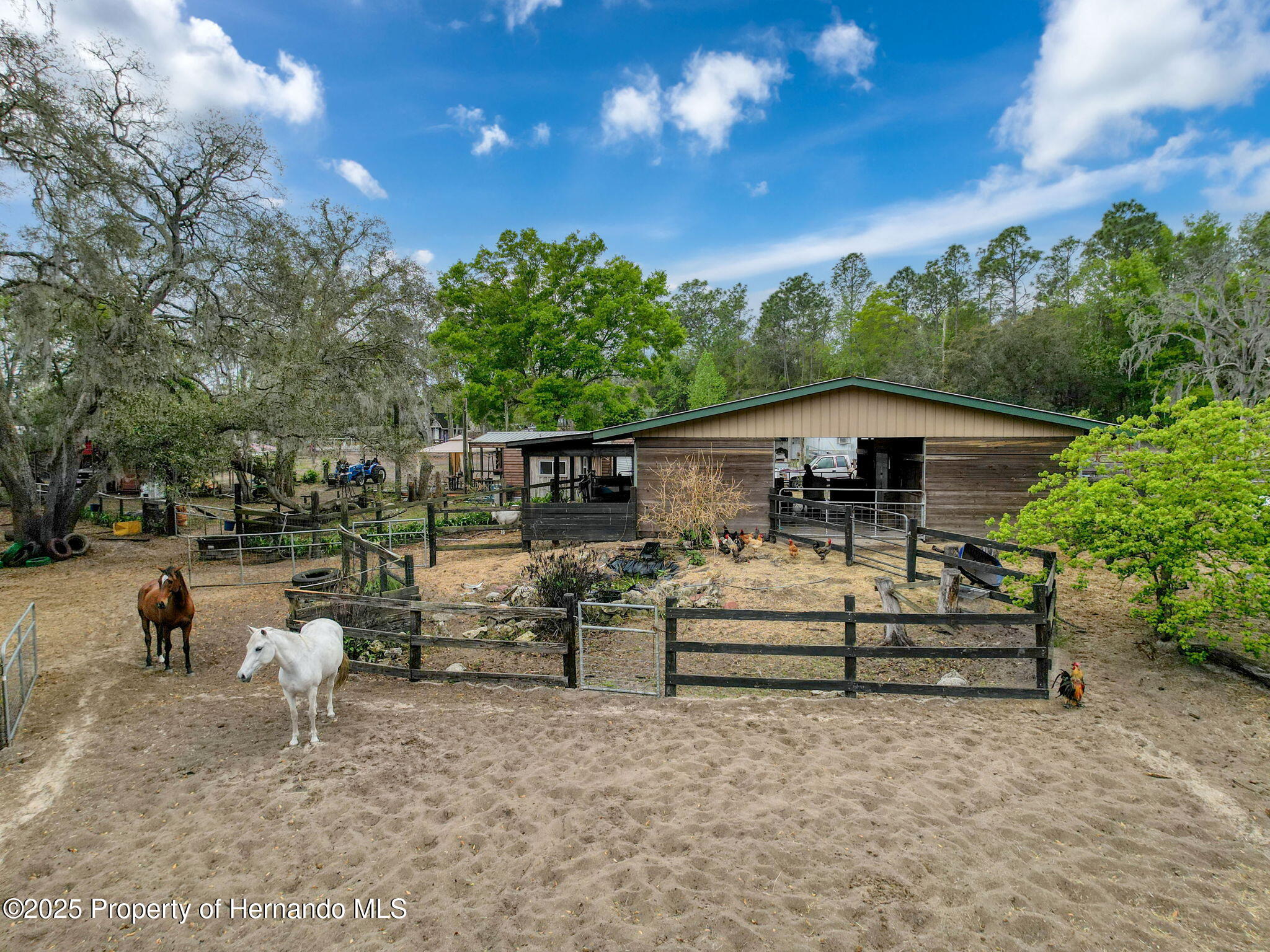 27343 Popiel Road, Brooksville, Florida image 11