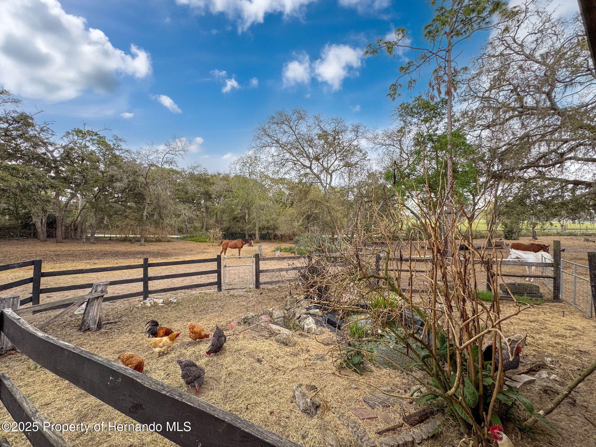 27343 Popiel Road, Brooksville, Florida image 9