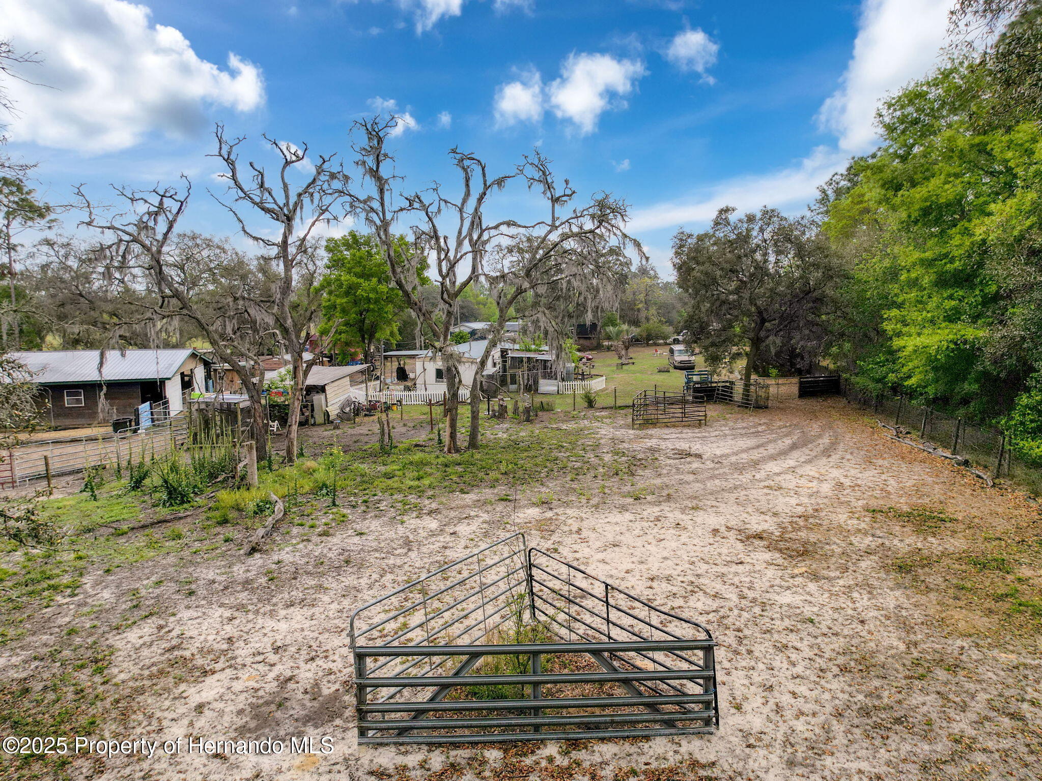 27343 Popiel Road, Brooksville, Florida image 6