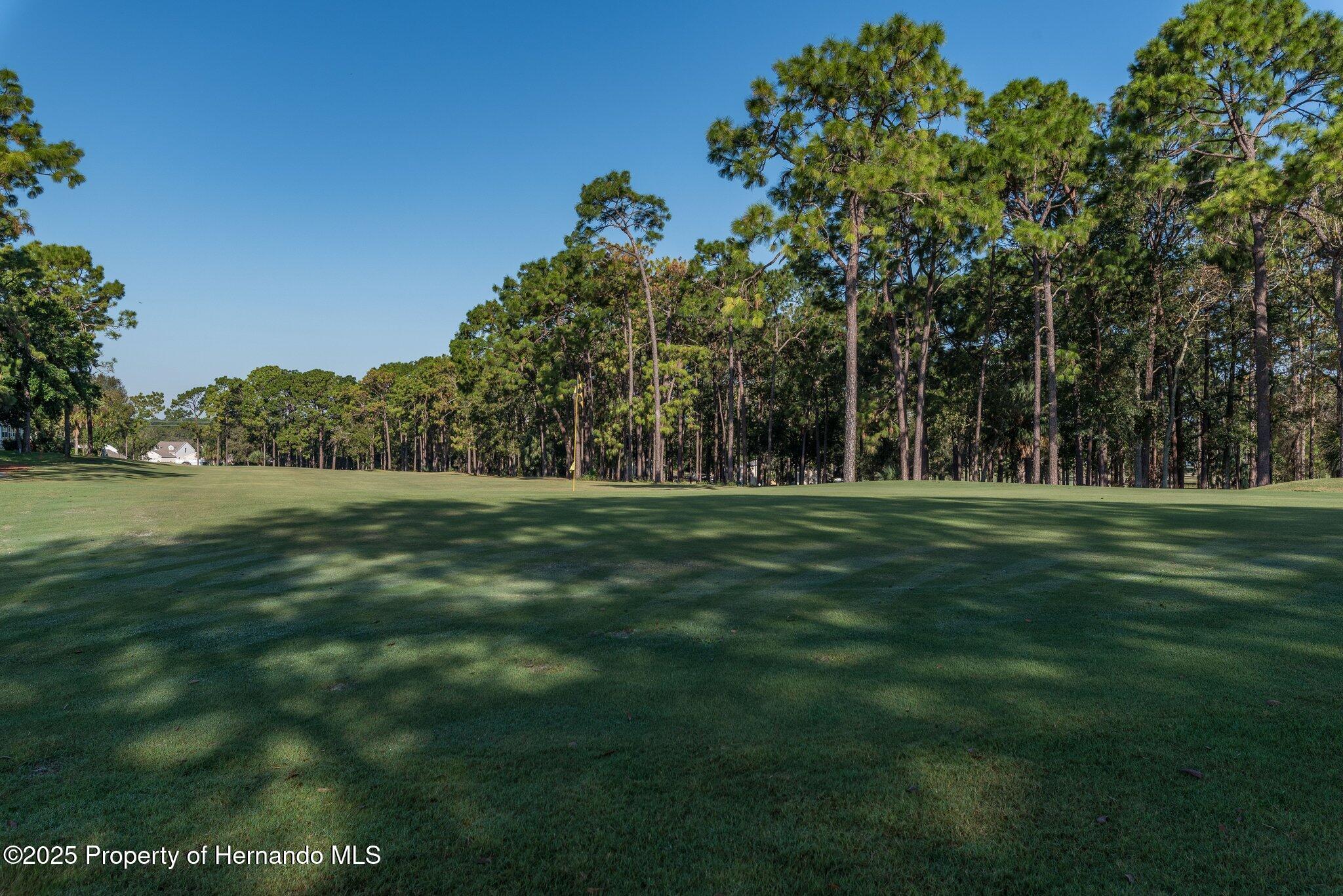16203 Brookridge Boulevard, Brooksville, Florida image 48