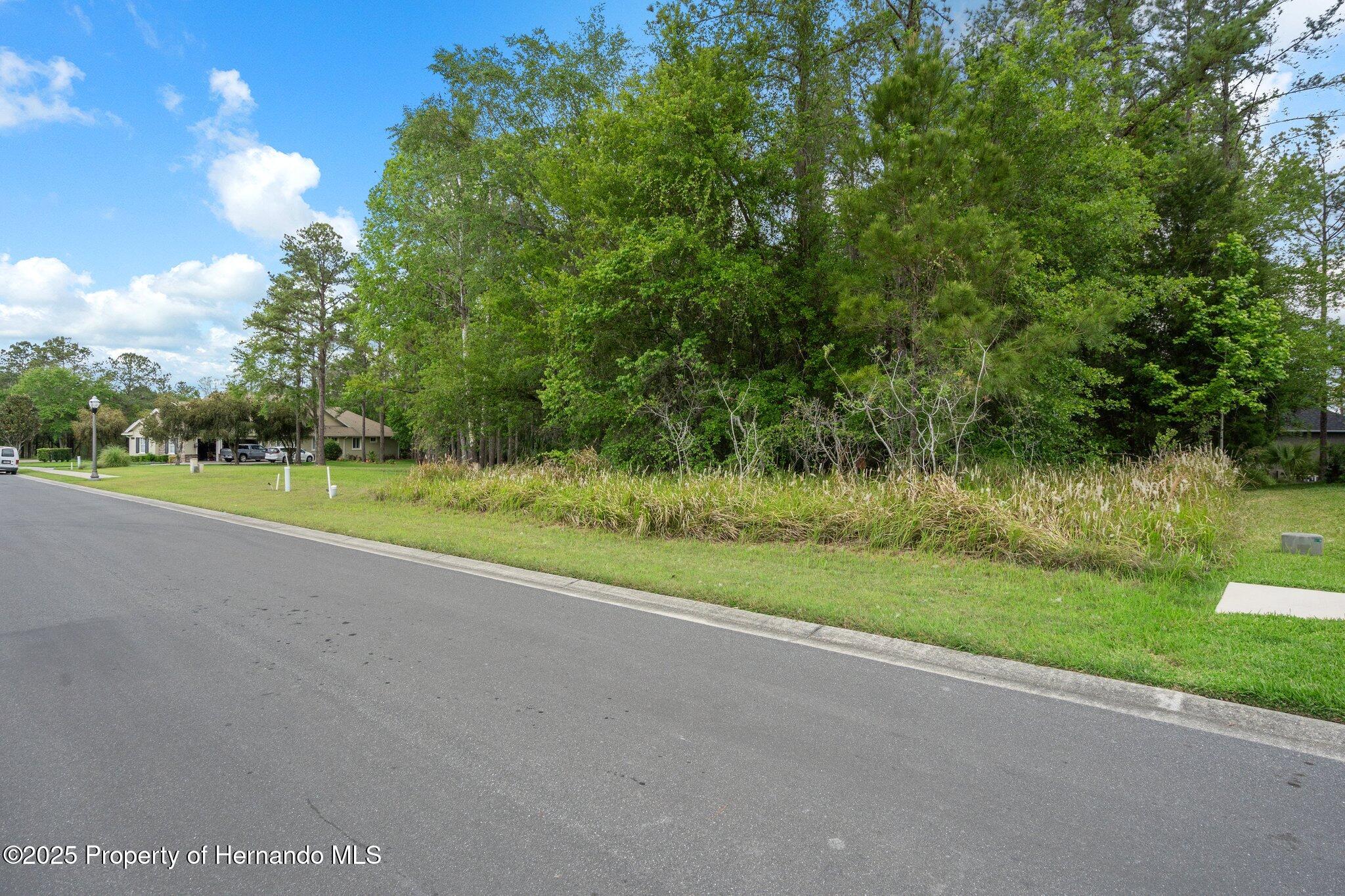 5426 Crown Peak Court, Brooksville, Florida image 14