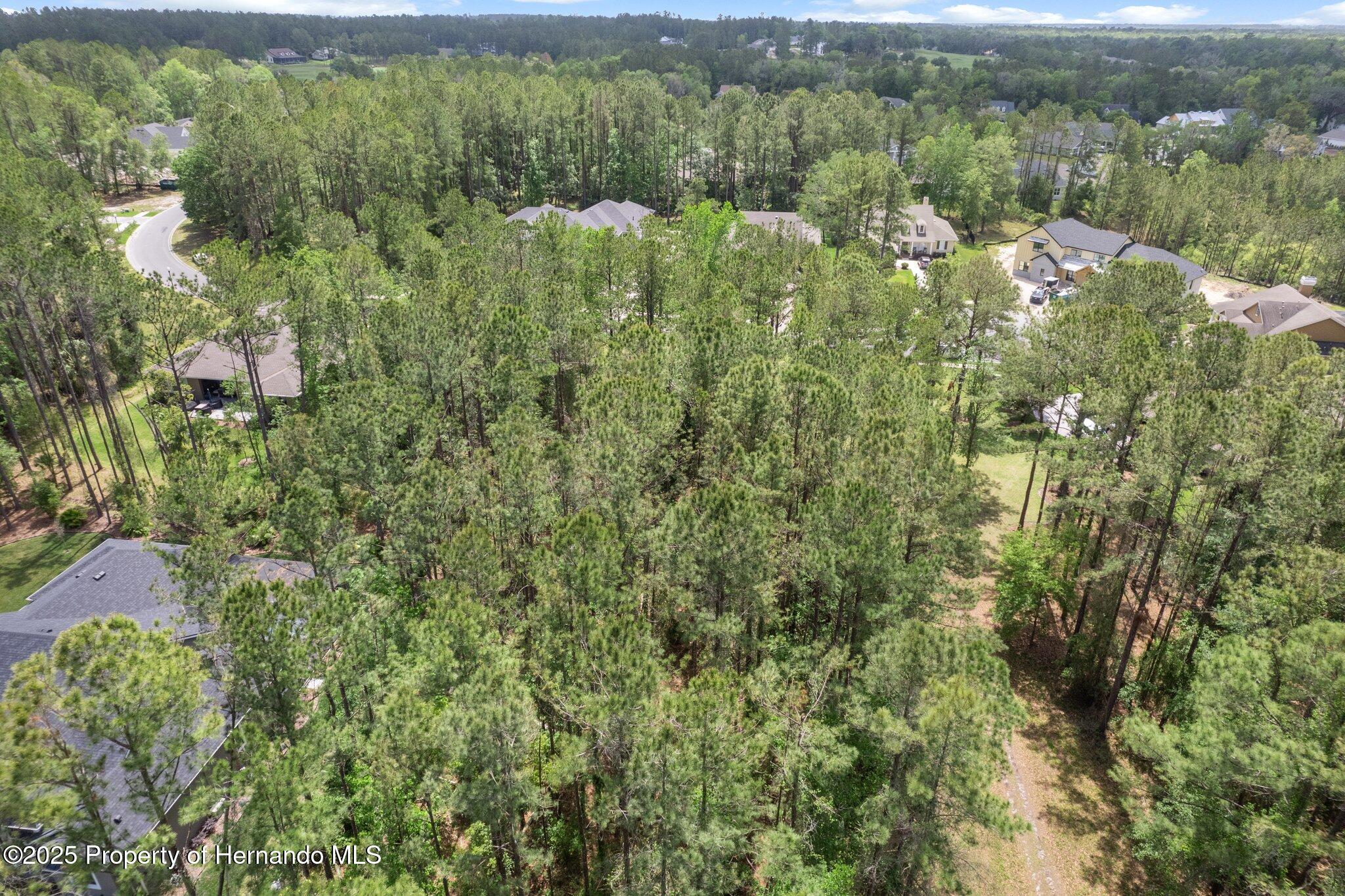 5426 Crown Peak Court, Brooksville, Florida image 11