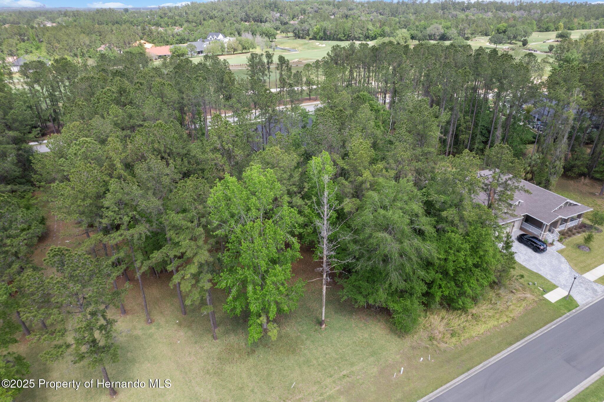 5426 Crown Peak Court, Brooksville, Florida image 7