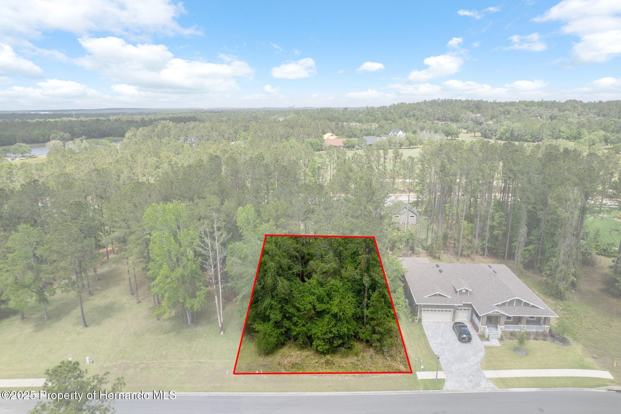 5426 Crown Peak Court, Brooksville, Florida image 1