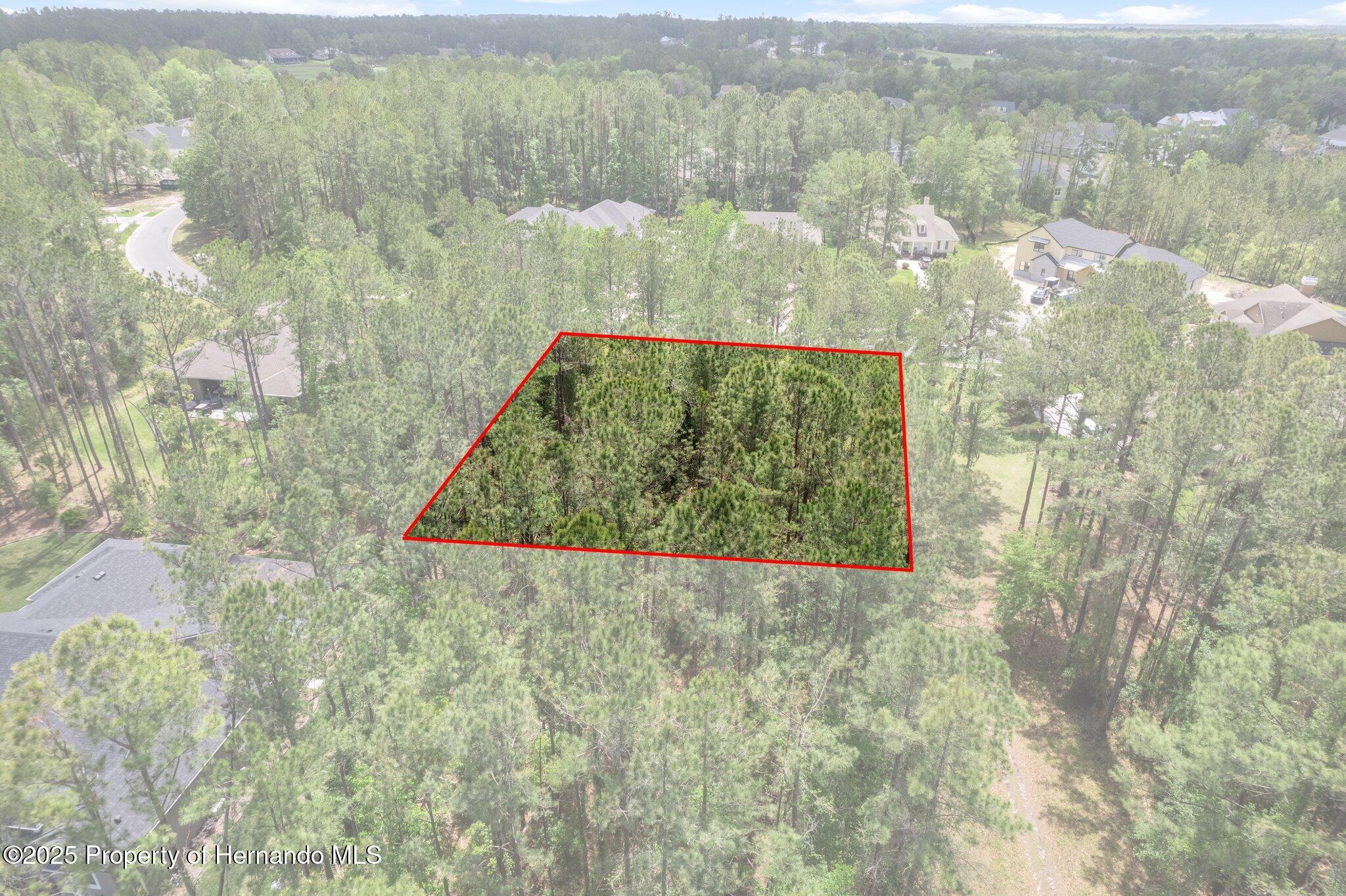 5426 Crown Peak Court, Brooksville, Florida image 2
