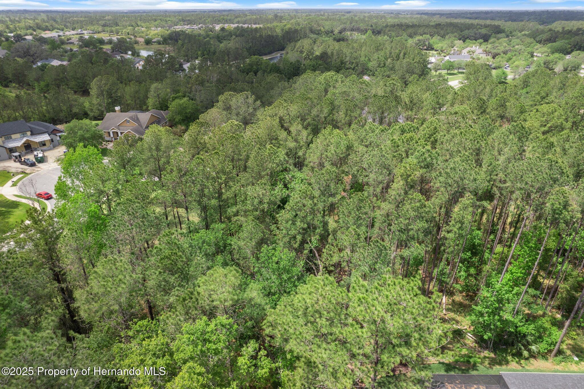 5426 Crown Peak Court, Brooksville, Florida image 12