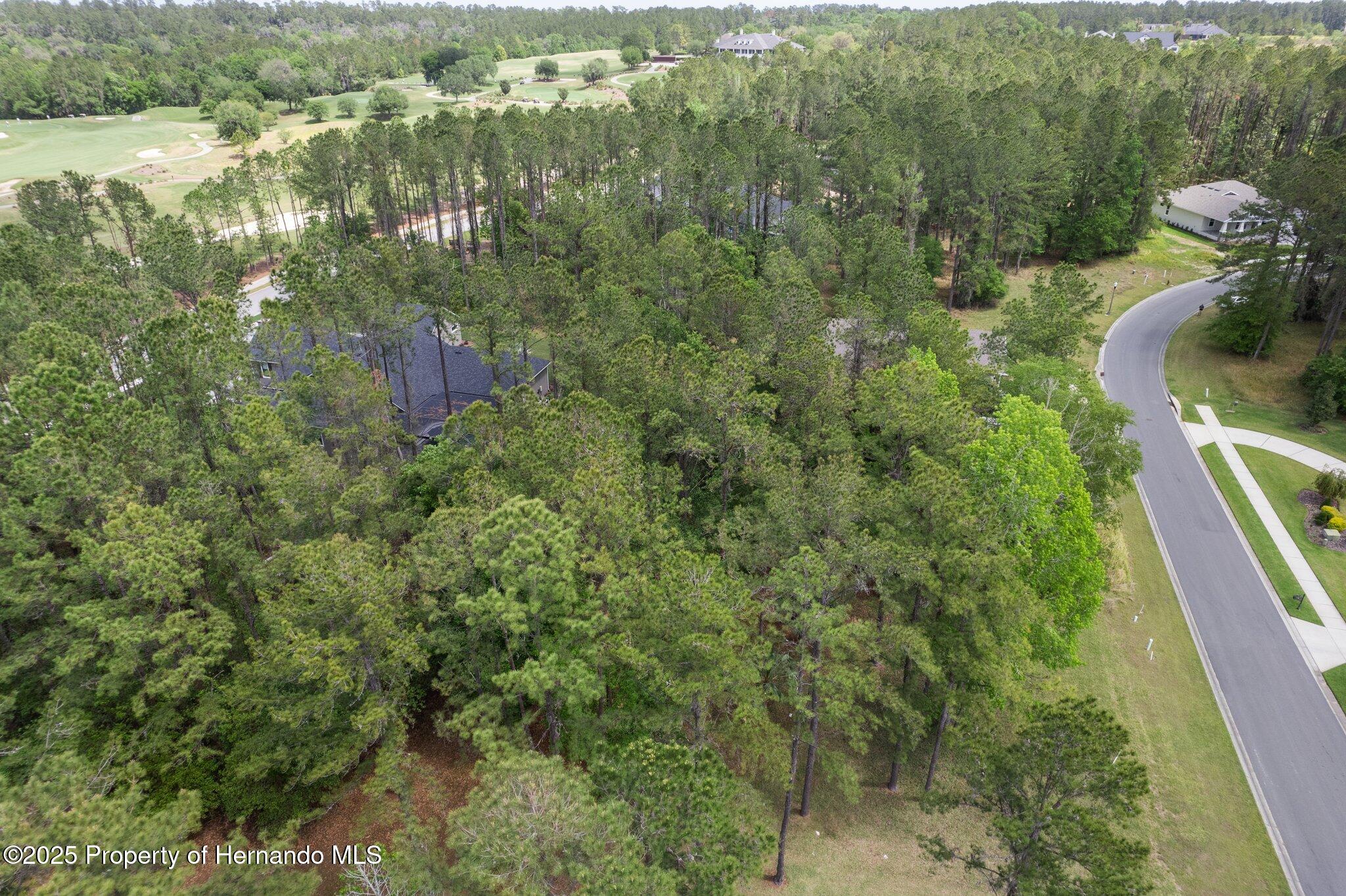 5426 Crown Peak Court, Brooksville, Florida image 9