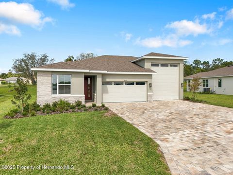 Homes For Sale - 9005 Players Drive<br/> Weeki Wachee, FL 34613