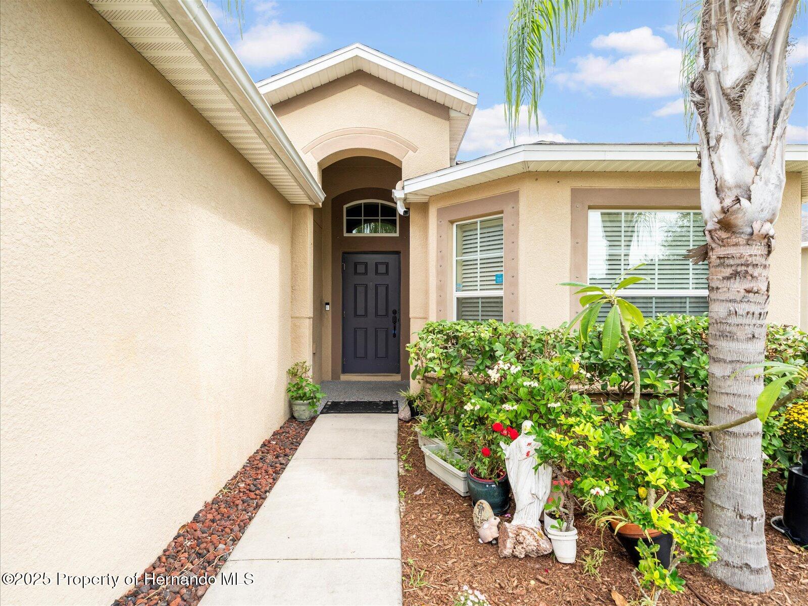 18732 Dobson Drive, Hudson, Florida image 3