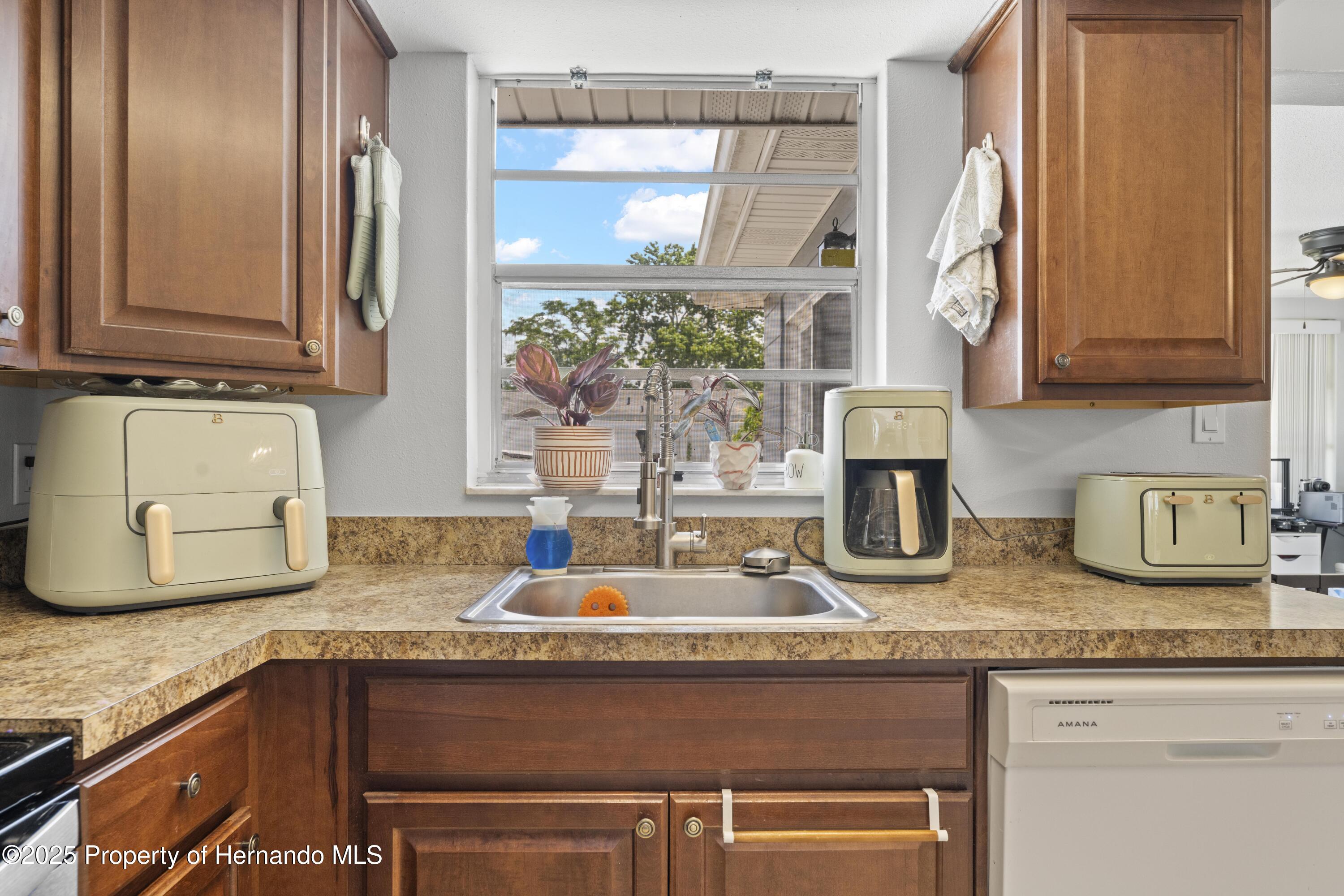 9126 Greenbriar Lane, Port Richey, Florida image 20