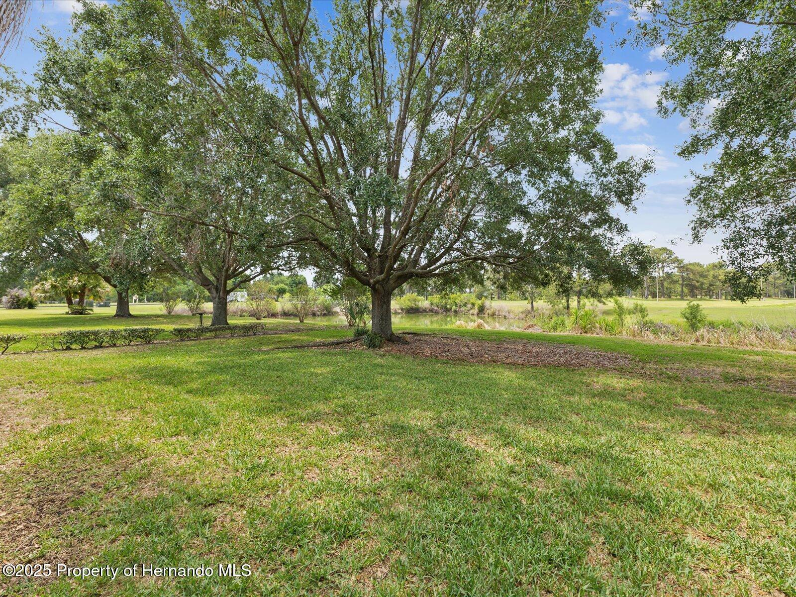 2255 Long View Circle, Brooksville, Florida image 35