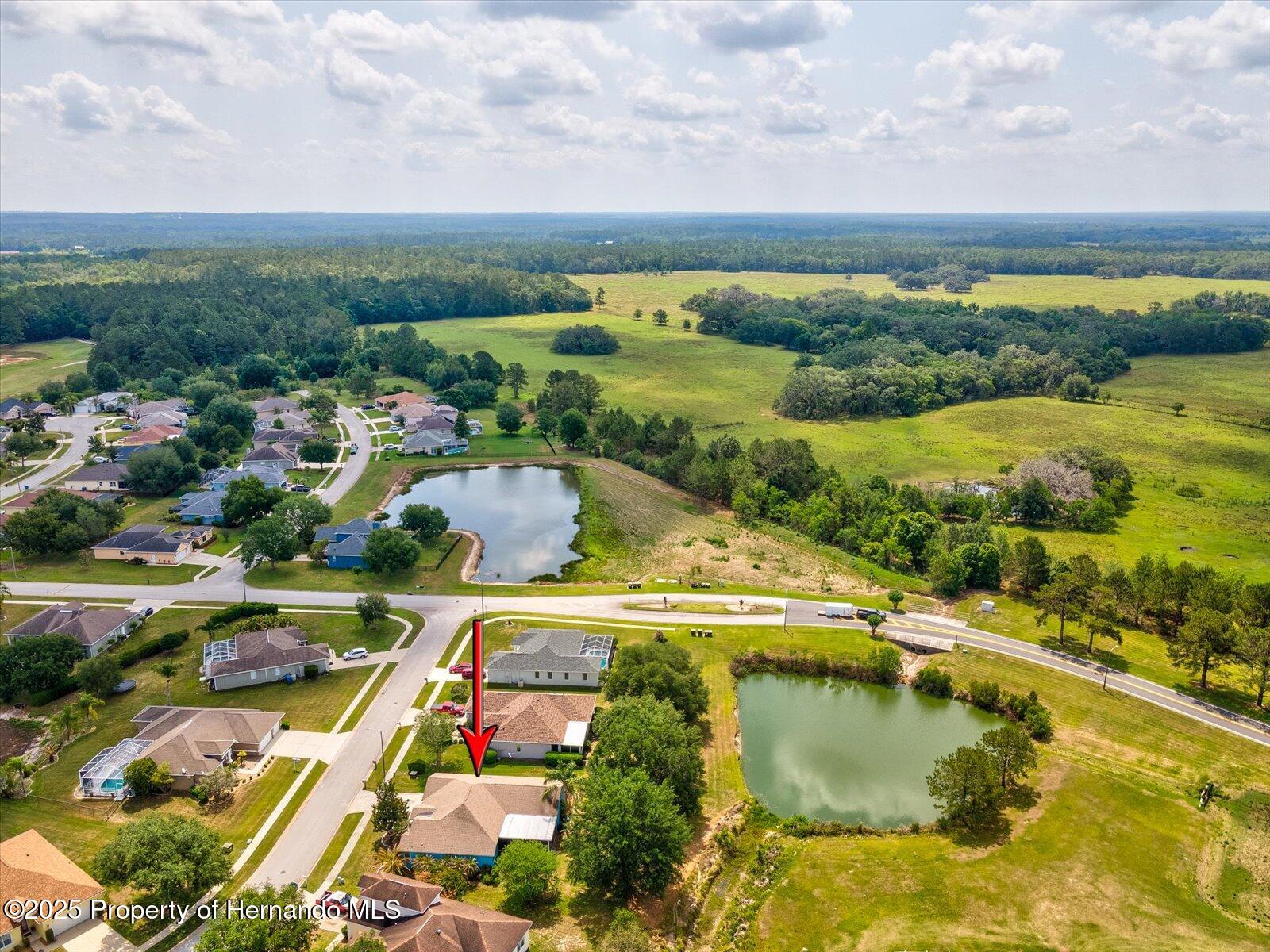 2255 Long View Circle, Brooksville, Florida image 42