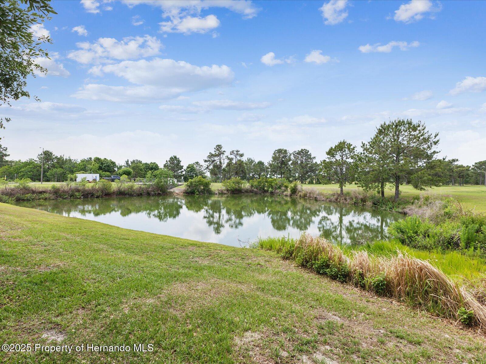 2255 Long View Circle, Brooksville, Florida image 36