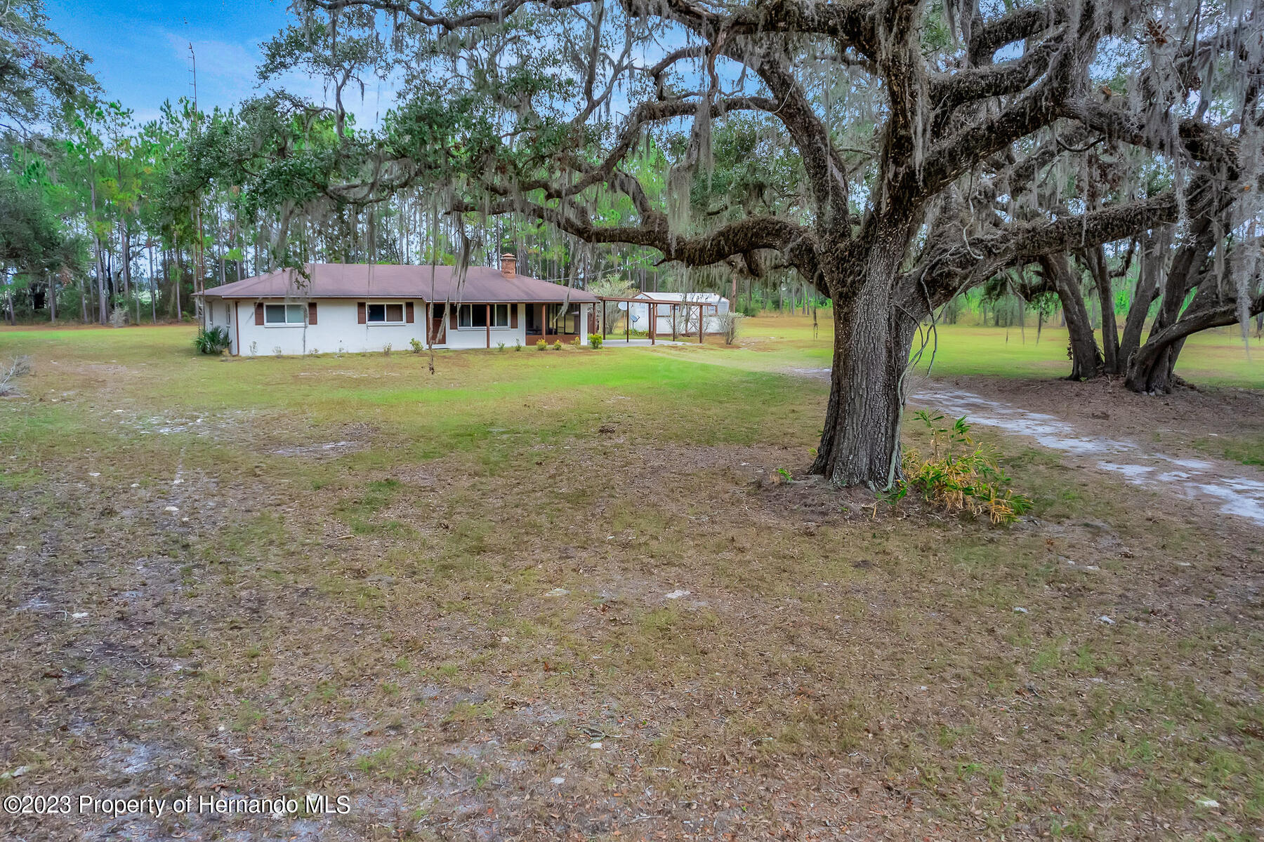 7393 NE Cr 353, Old Town, Florida image 32