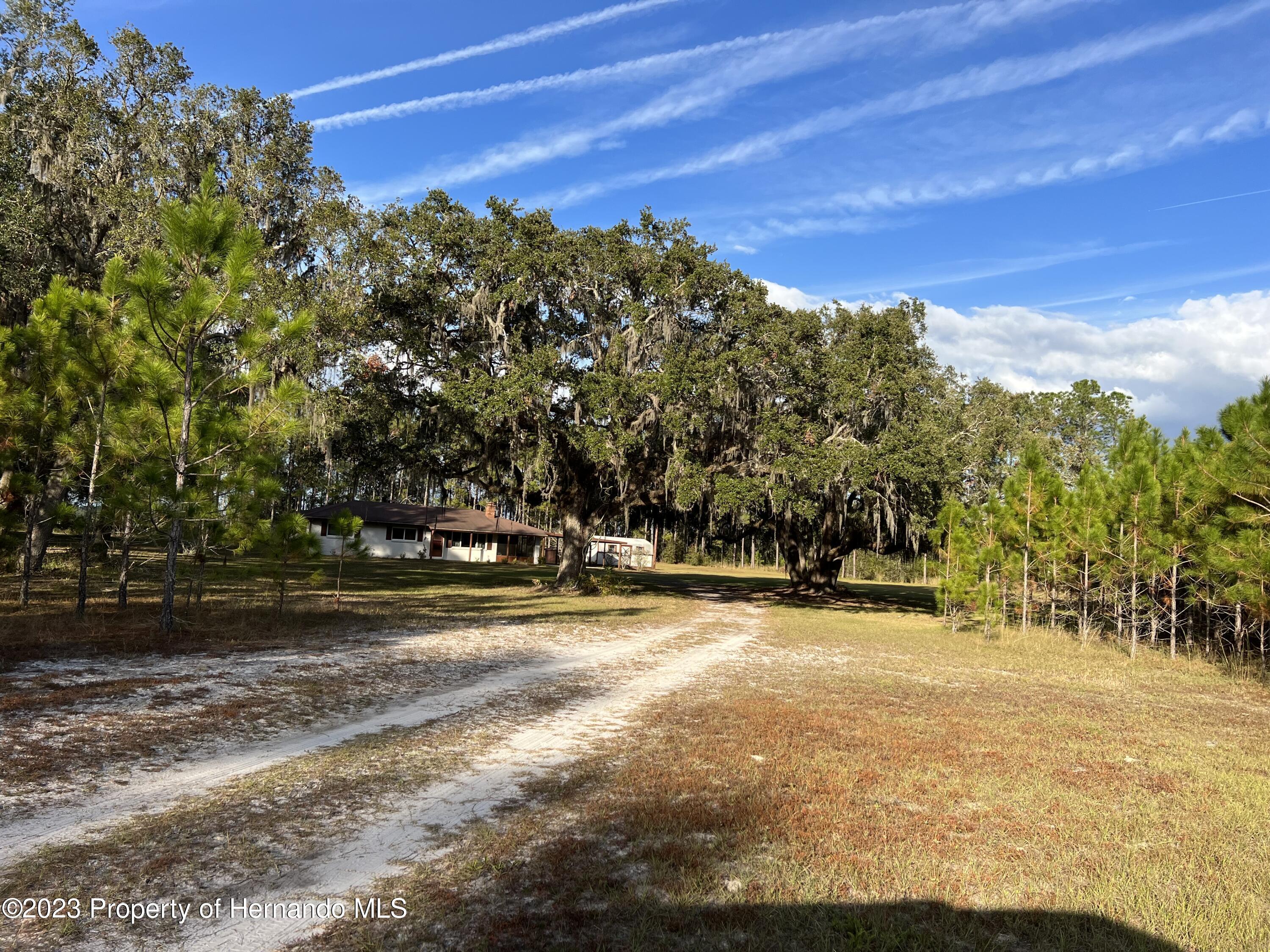 7393 NE Cr 353, Old Town, Florida image 3