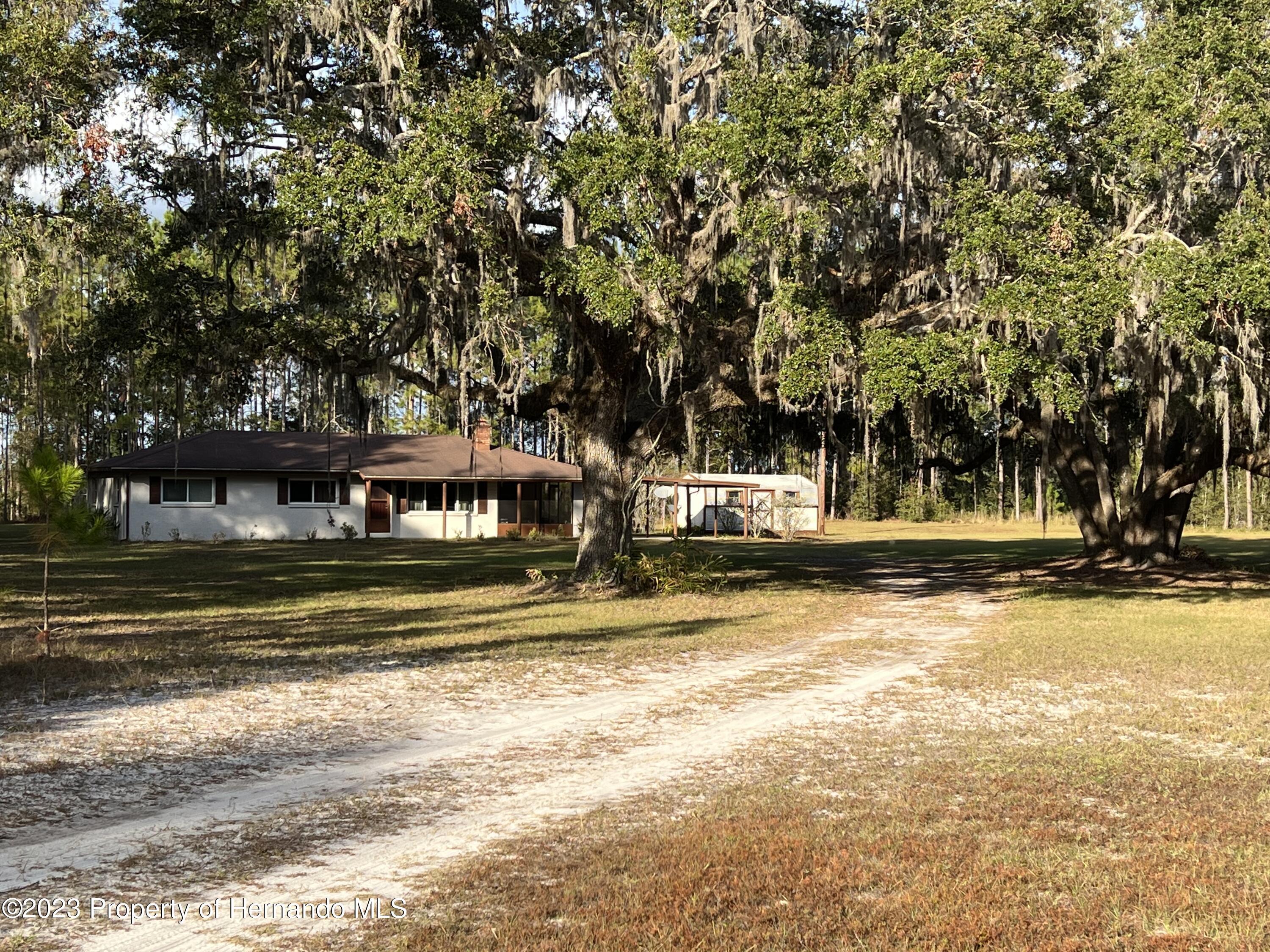 7393 NE Cr 353, Old Town, Florida image 1