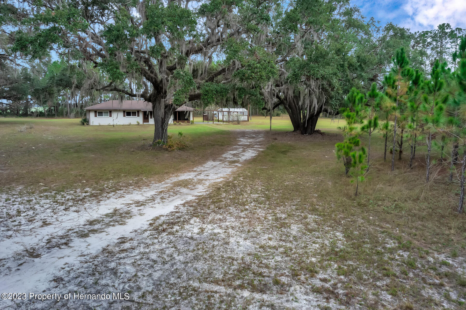 7393 NE Cr 353, Old Town, Florida image 31