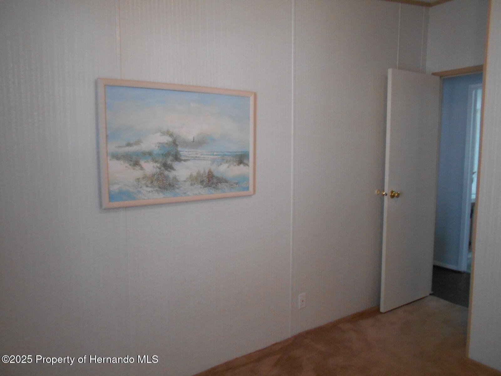 15133 Brookridge Boulevard, Brooksville, Florida image 35