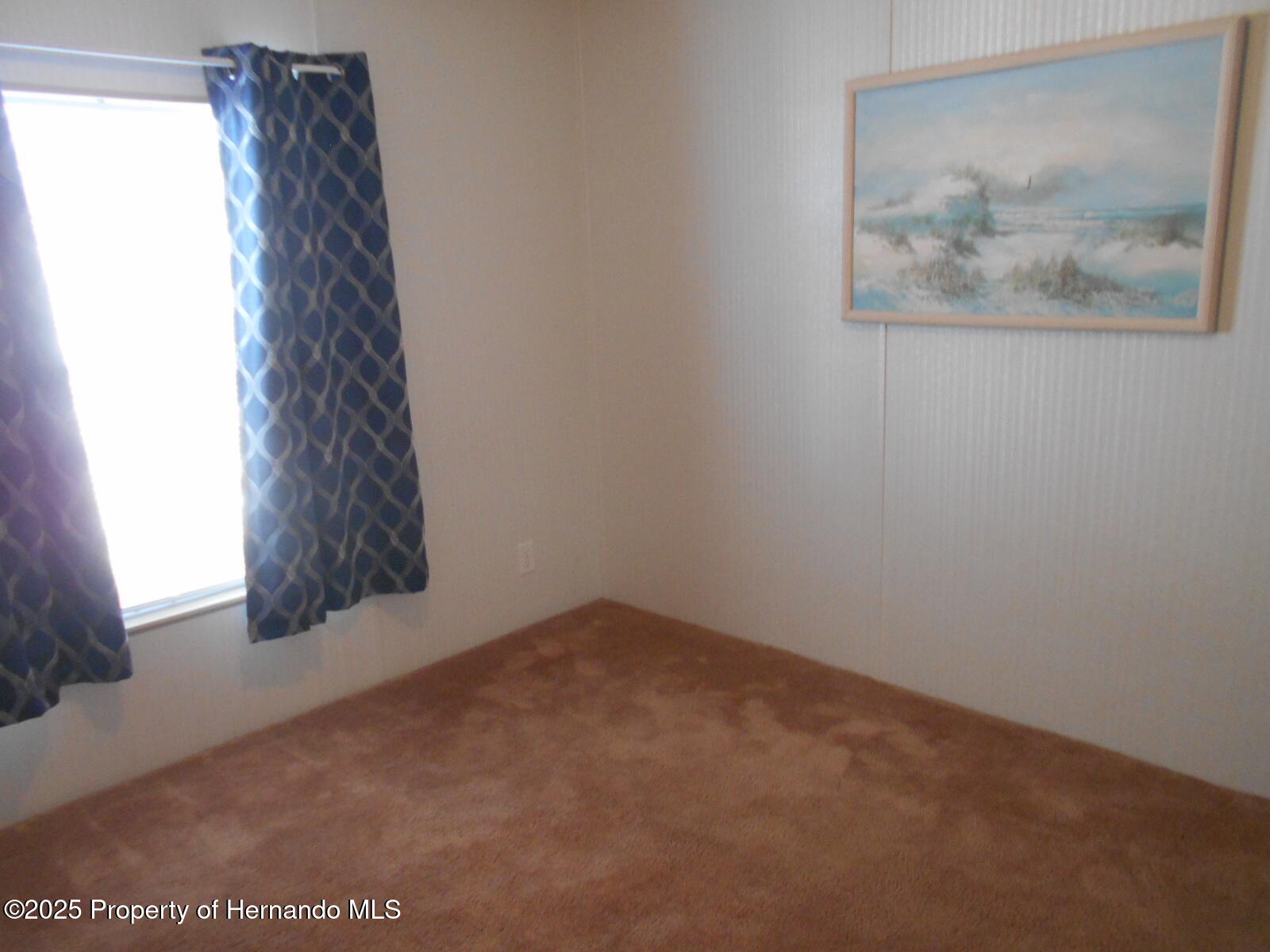 15133 Brookridge Boulevard, Brooksville, Florida image 34