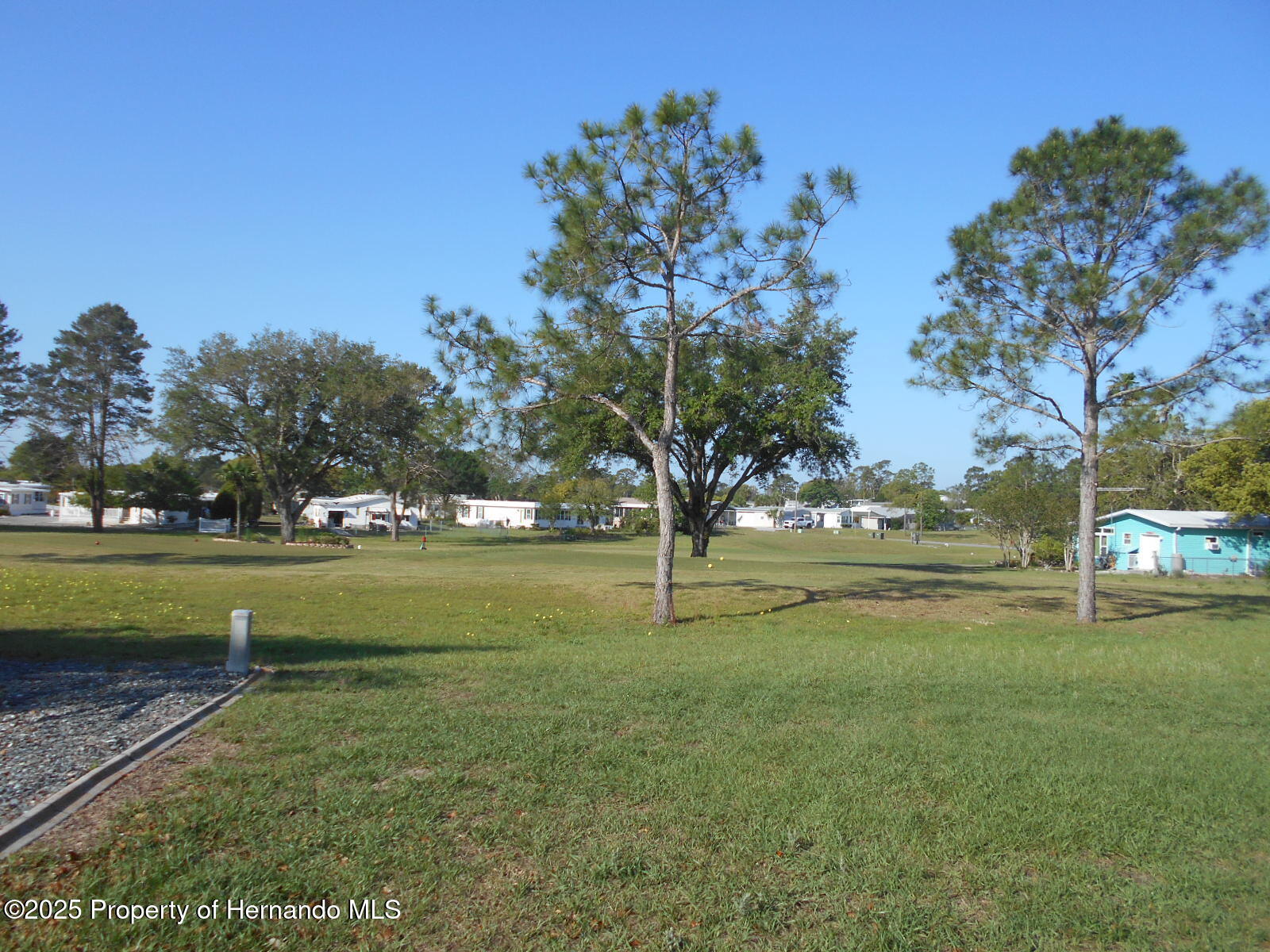 15133 Brookridge Boulevard, Brooksville, Florida image 3