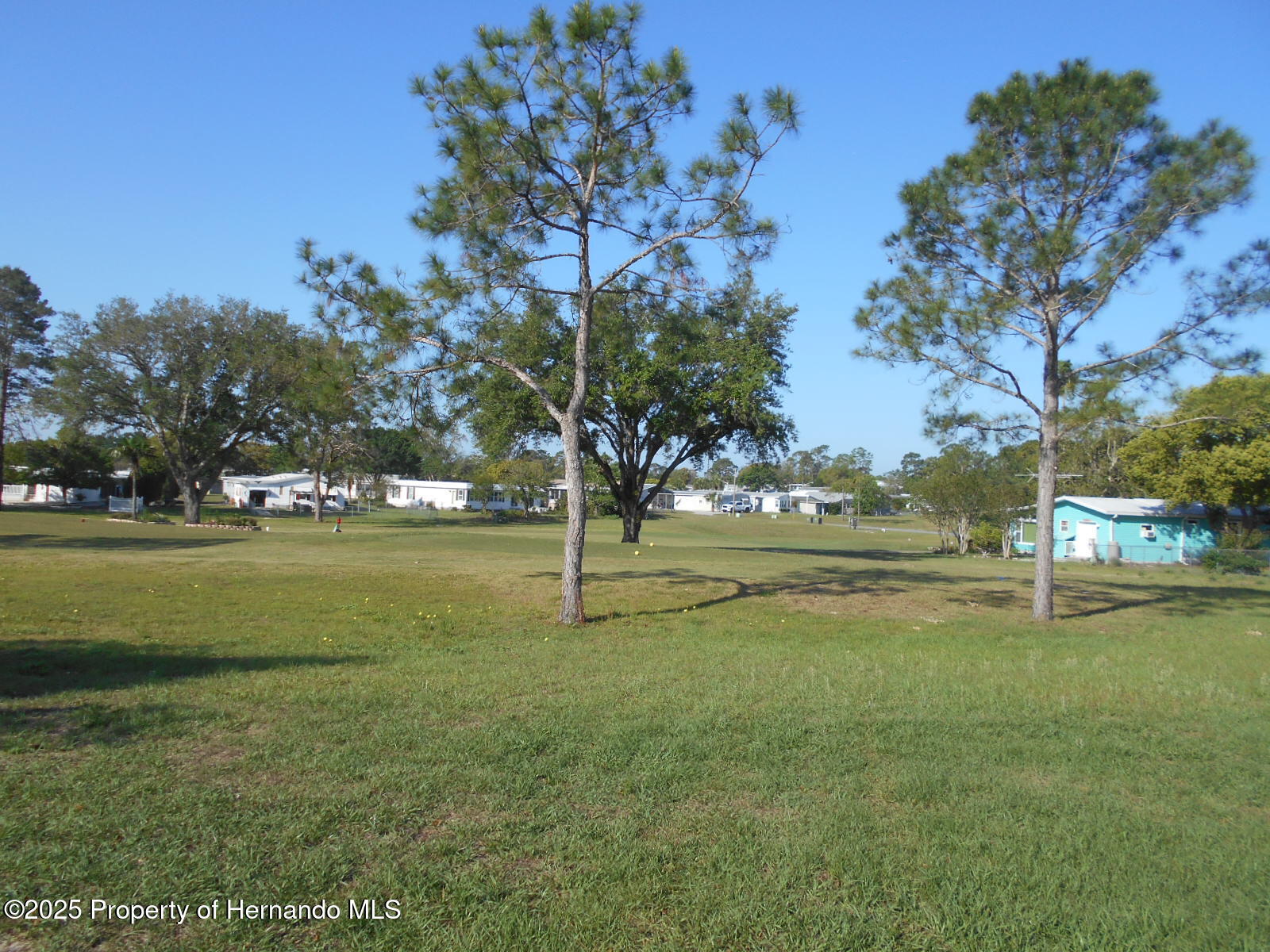 15133 Brookridge Boulevard, Brooksville, Florida image 8