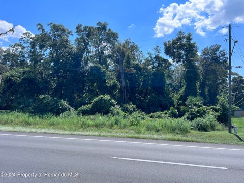 Vacant Land For Sale - Us-19<br/> Fanning Springs, FL 32693