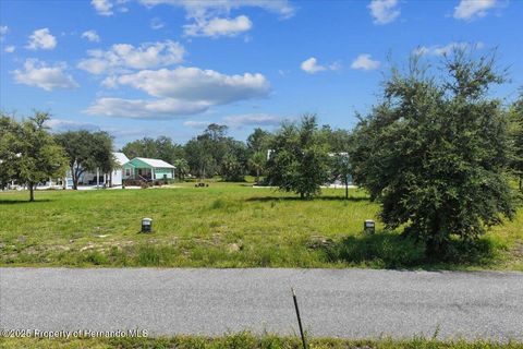 Vacant Land For Sale - 000 SW 869th Loop<br/> Dixie County, Steinhatchee, FL 32359