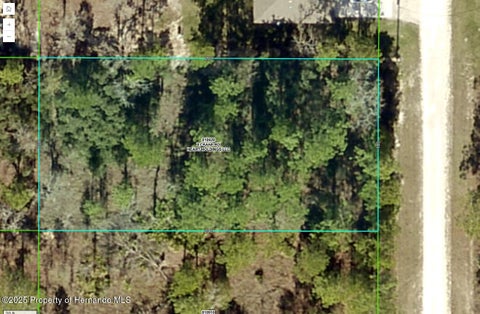 Vacant Land For Sale - 16379 Crane Road<br/> Weeki Wachee, FL 34614
