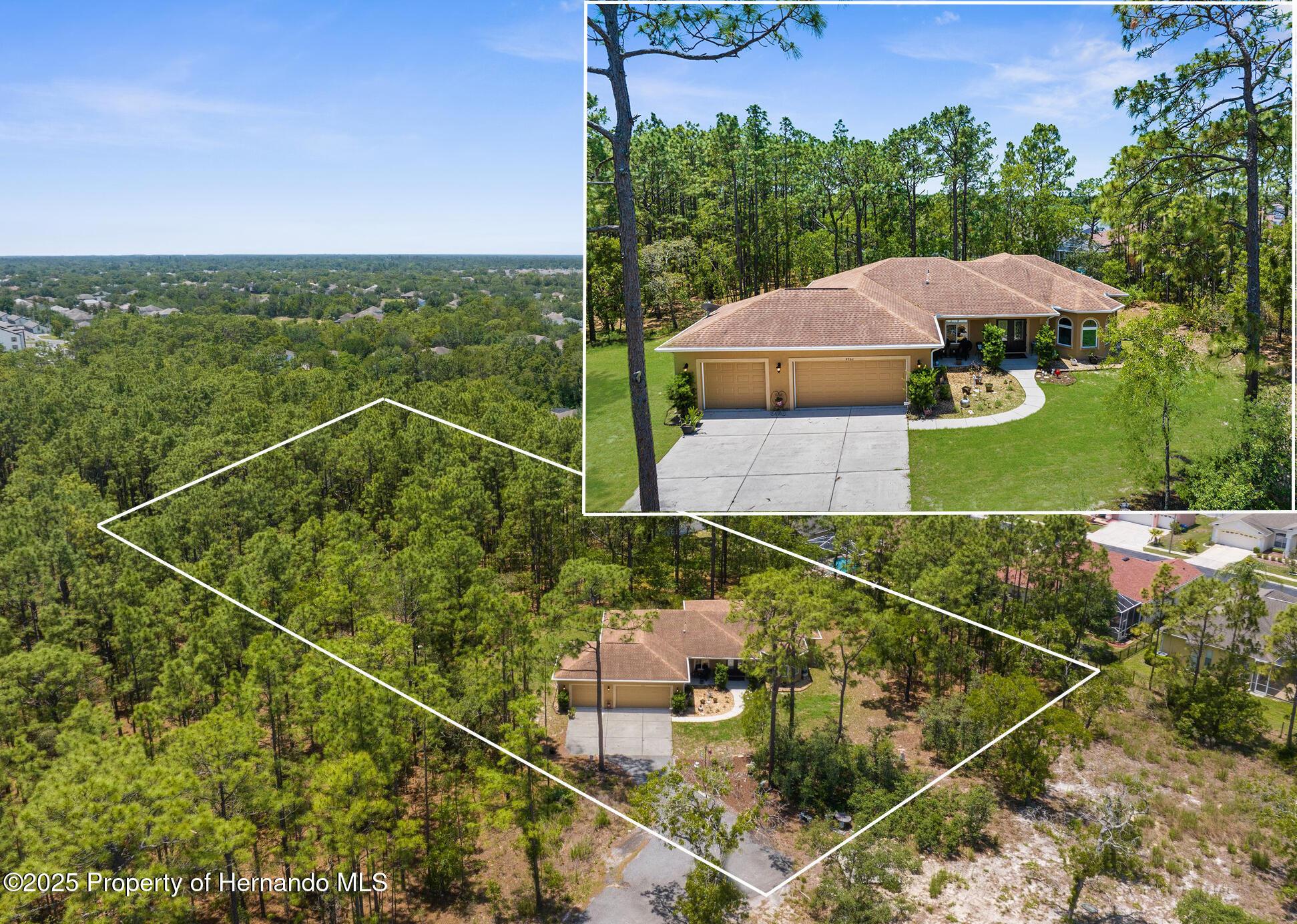 4960 Hidden Knob Trail, Spring Hill, Florida image 2
