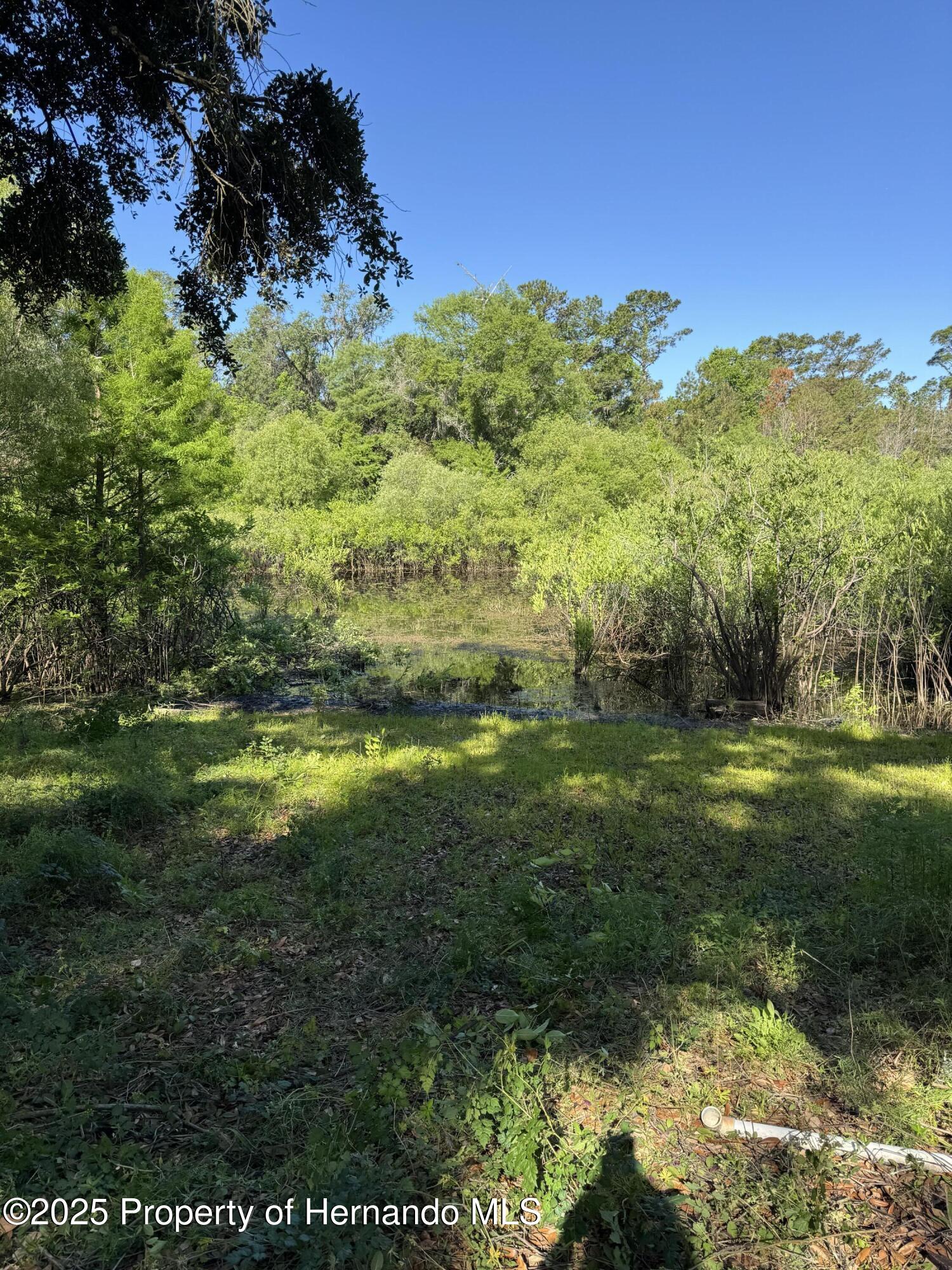 3223 Dublin Road, Dade City, Florida image 21