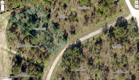 Vacant Land For Sale - 16147 Sheldrake Loop<br/> Weeki Wachee, FL 34614