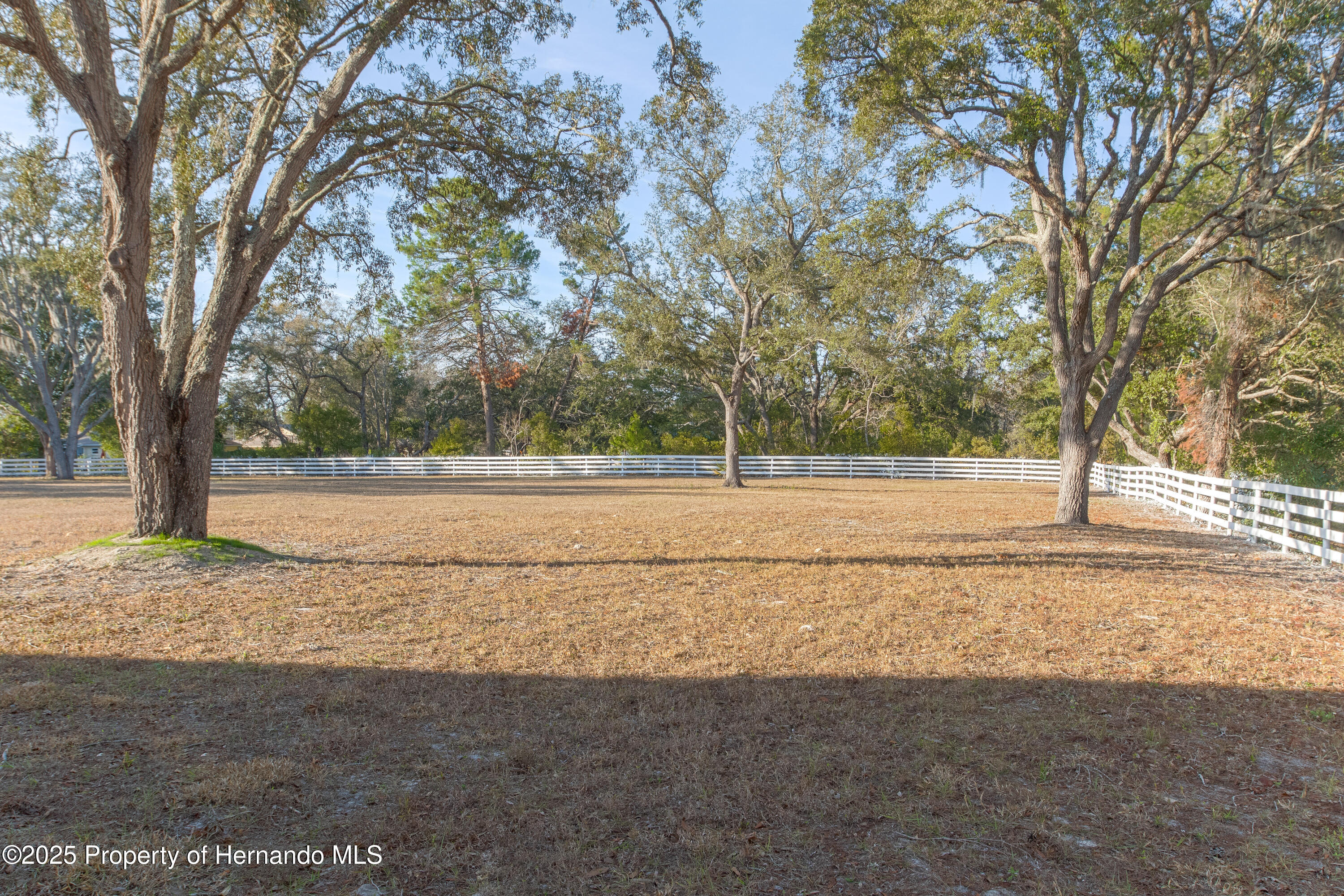 9331 Elida Road, Spring Hill, Florida image 49