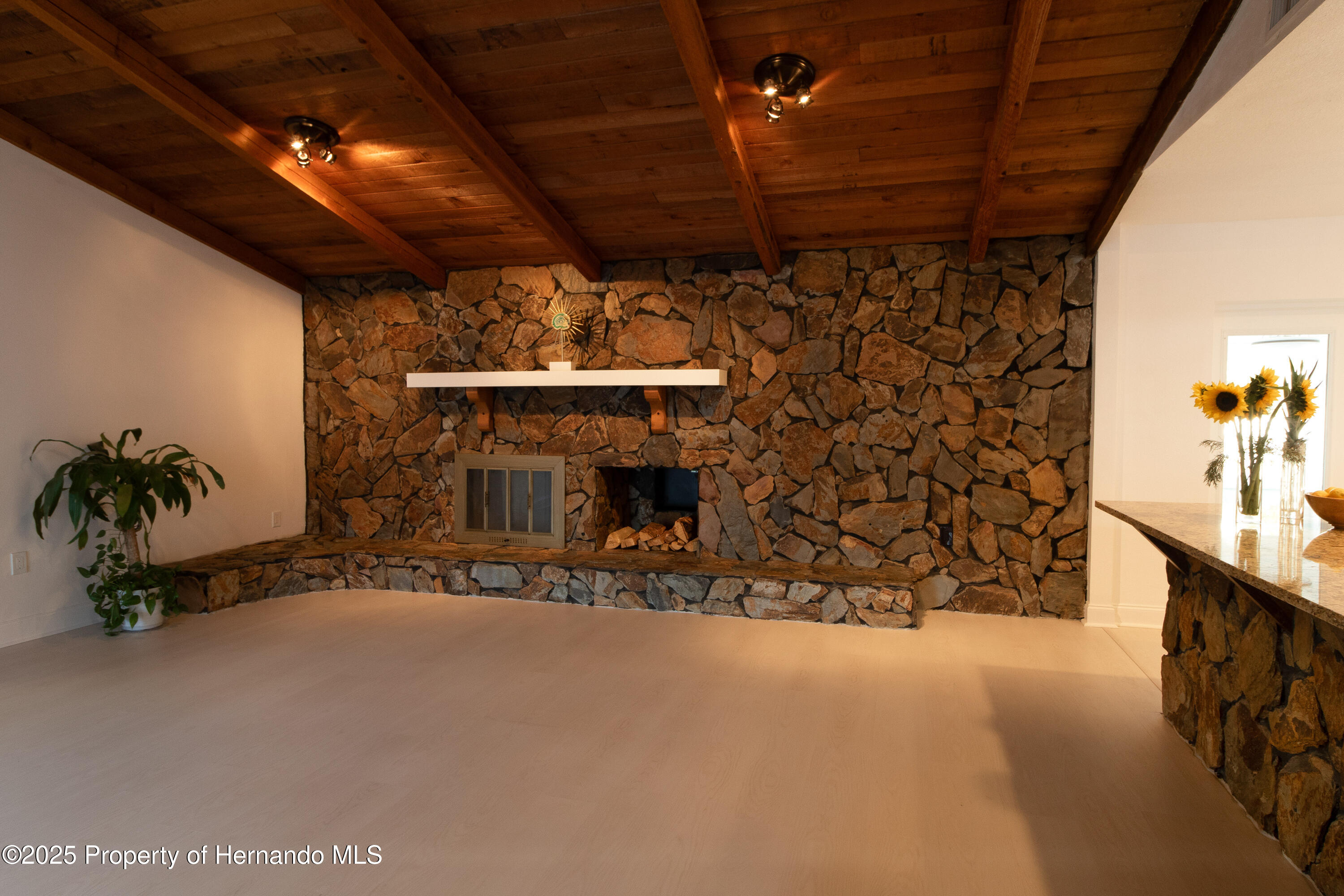 9331 Elida Road, Spring Hill, Florida image 16